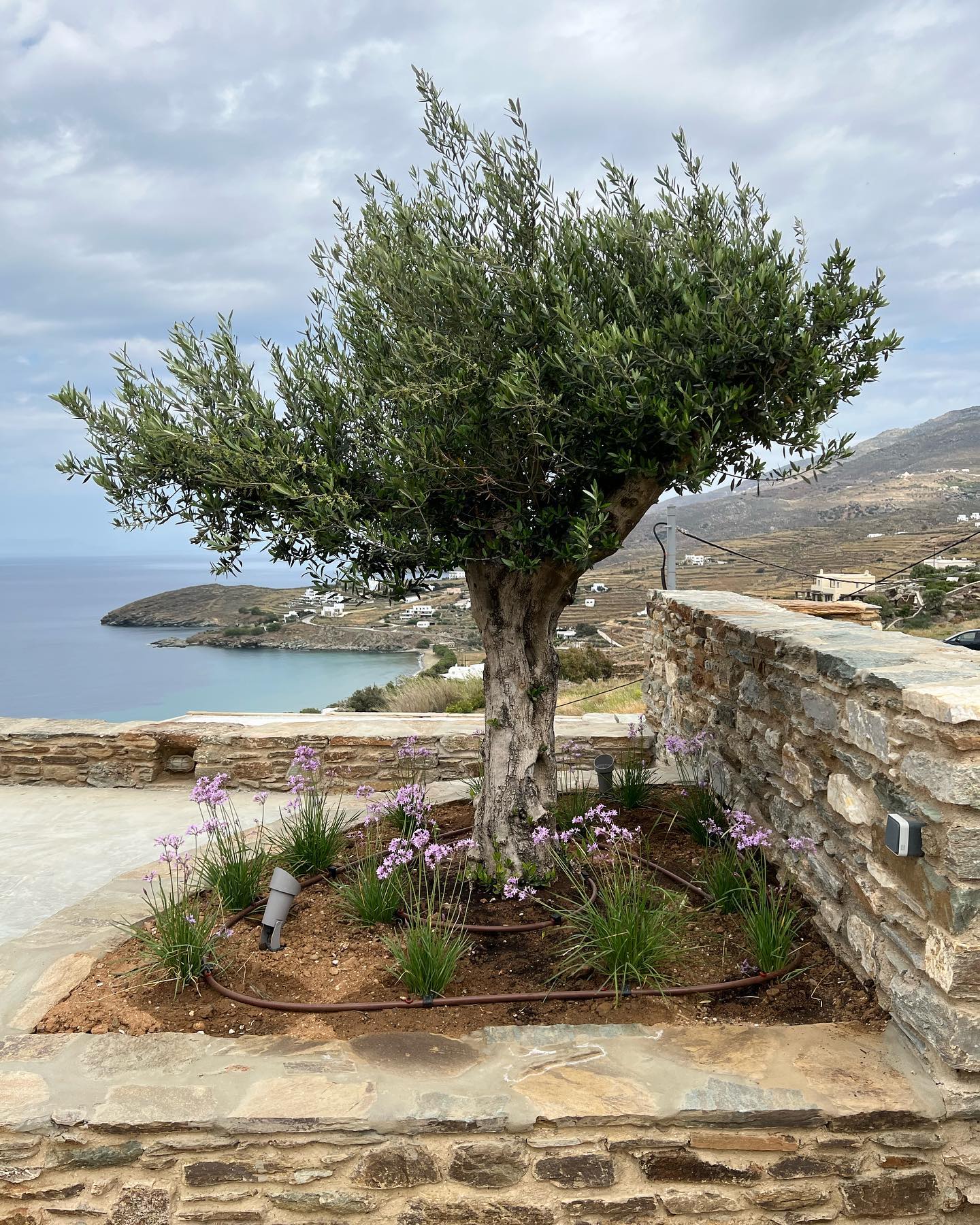 Πισίνα σε Πέτρινο Άνδηρο