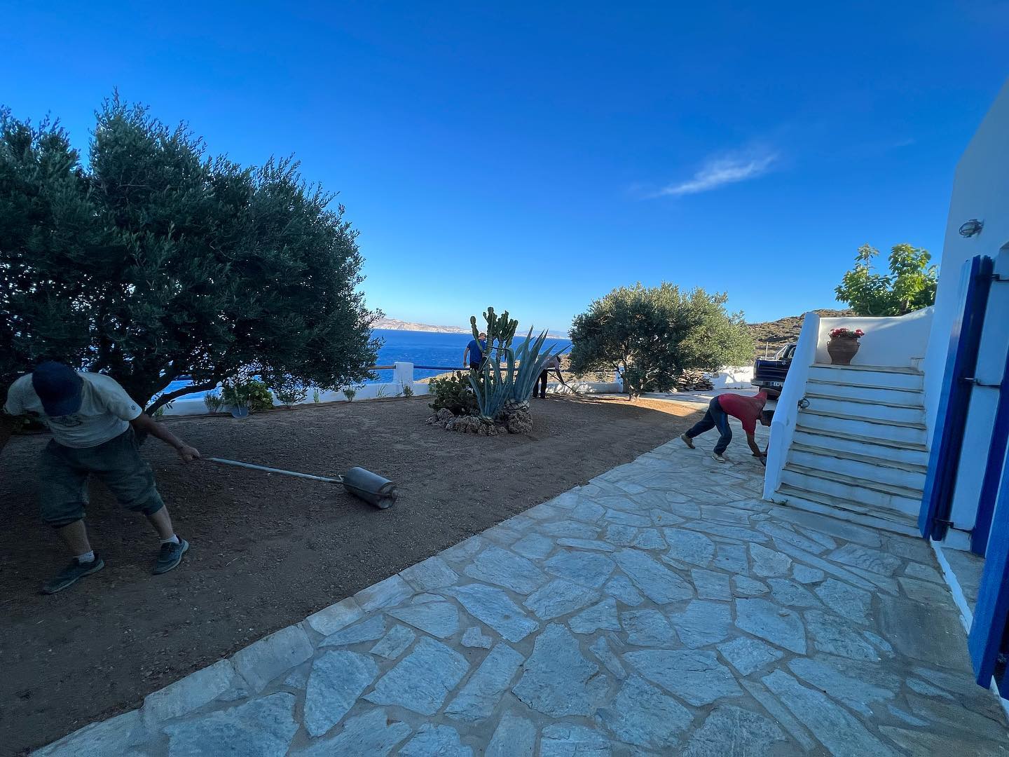 Παραθαλάσσιος Κήπος με Ελιά &amp; Θέα στο Πέλαγος