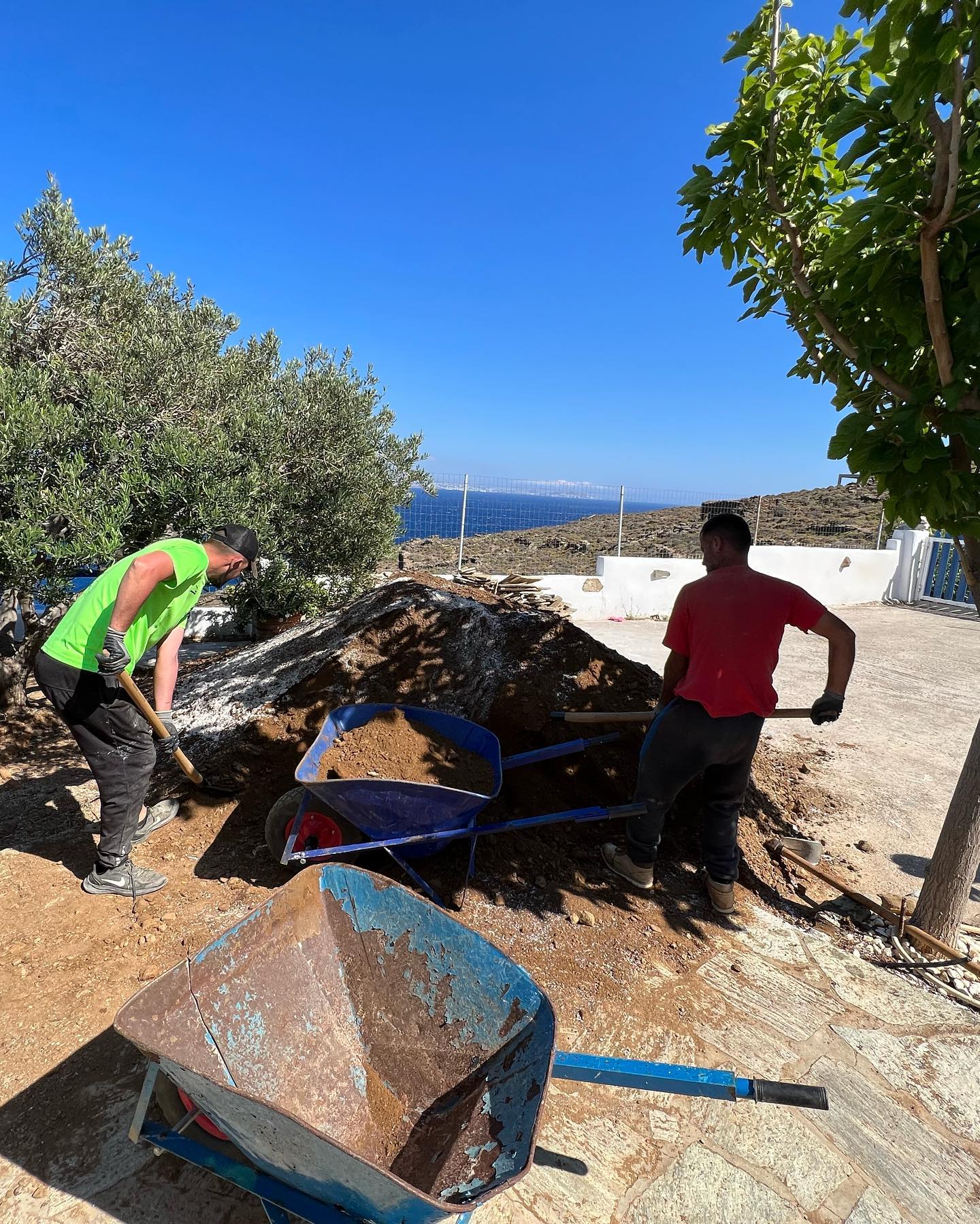 Παραθαλάσσιος Κήπος με Ελιά &amp; Θέα στο Πέλαγος