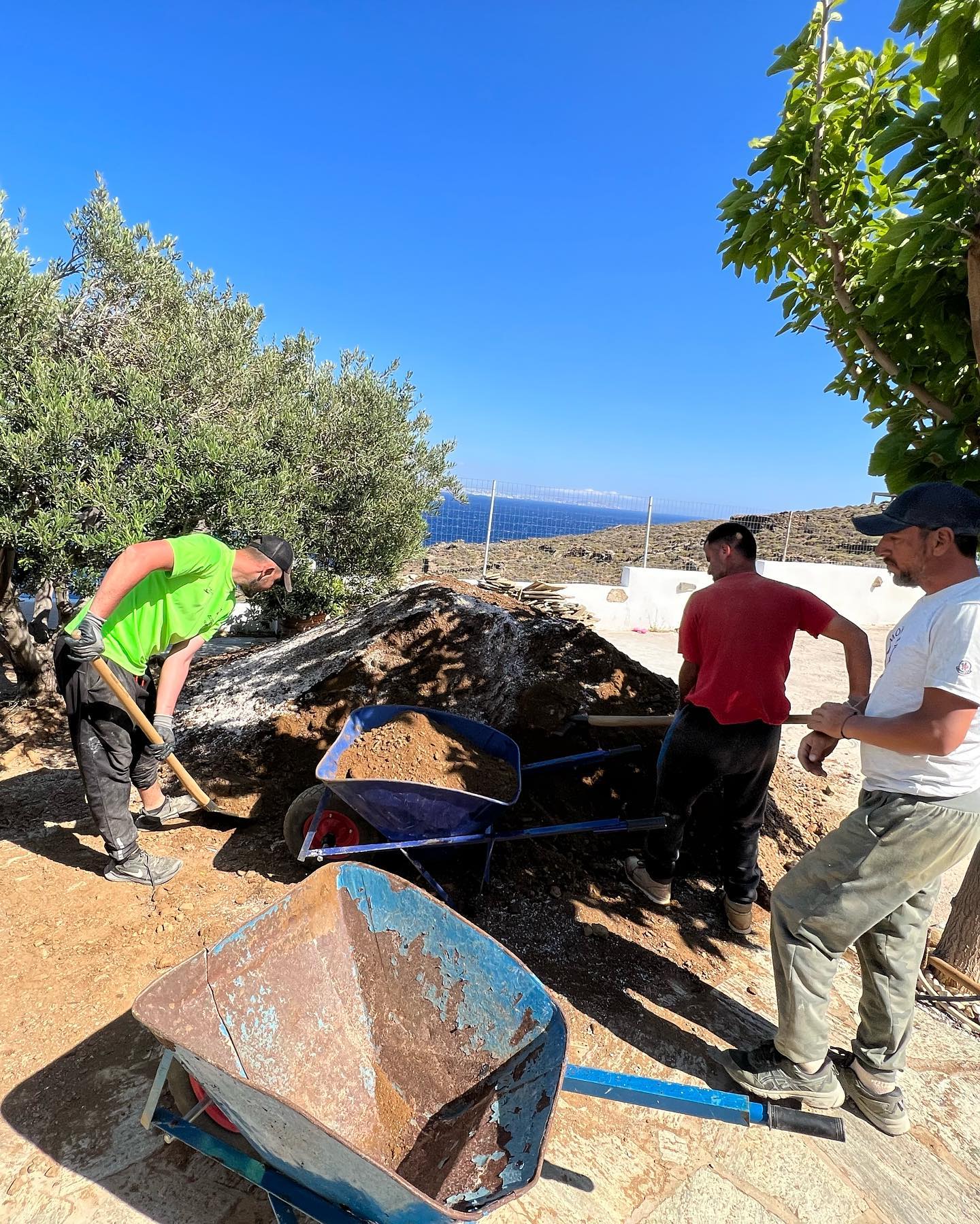 Παραθαλάσσιος Κήπος με Ελιά &amp; Θέα στο Πέλαγος