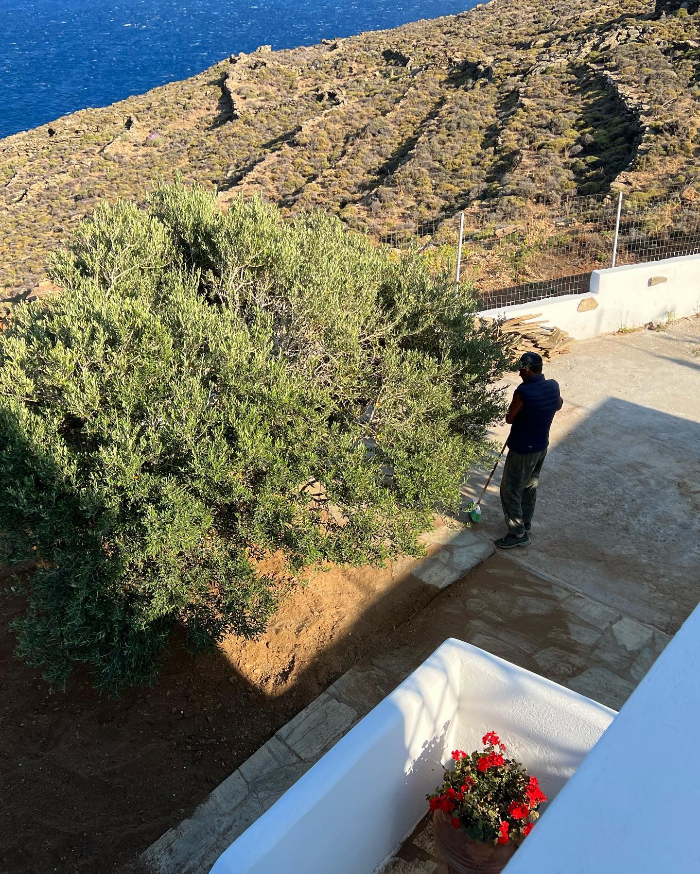 Παραθαλάσσιος Κήπος με Ελιά &amp; Θέα στο Πέλαγος