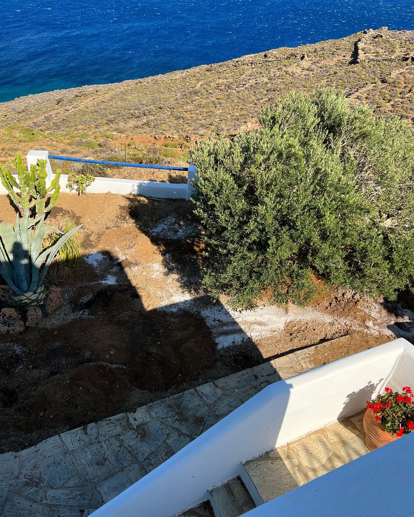 Παραθαλάσσιος Κήπος με Ελιά &amp; Θέα στο Πέλαγος