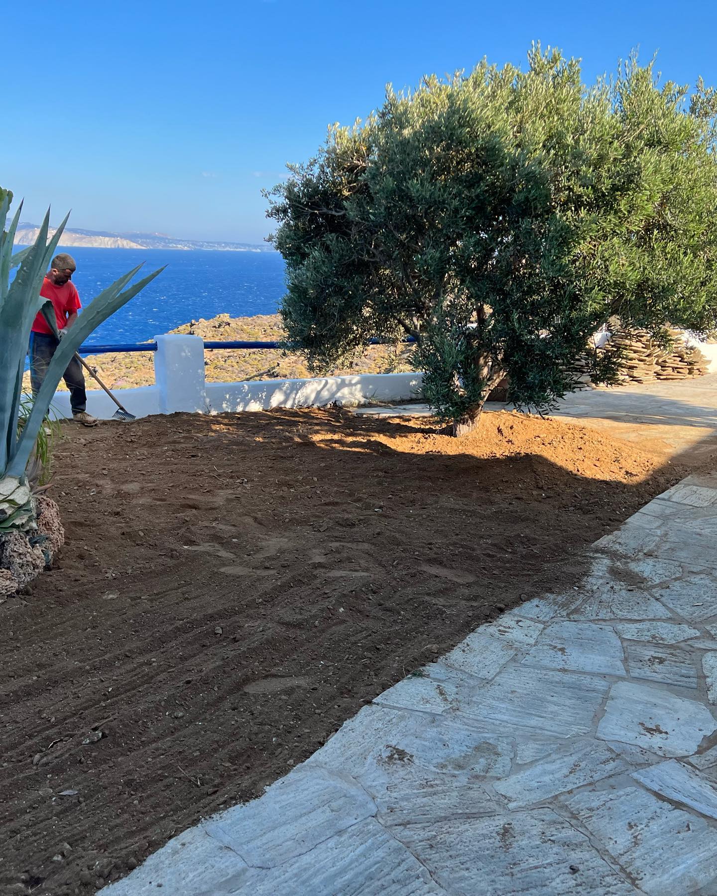 Παραθαλάσσιος Κήπος με Ελιά &amp; Θέα στο Πέλαγος