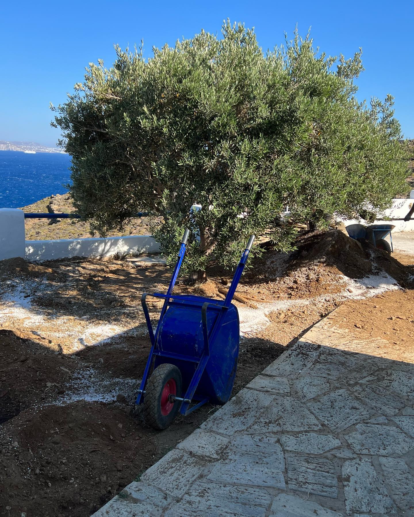 Παραθαλάσσιος Κήπος με Ελιά &amp; Θέα στο Πέλαγος