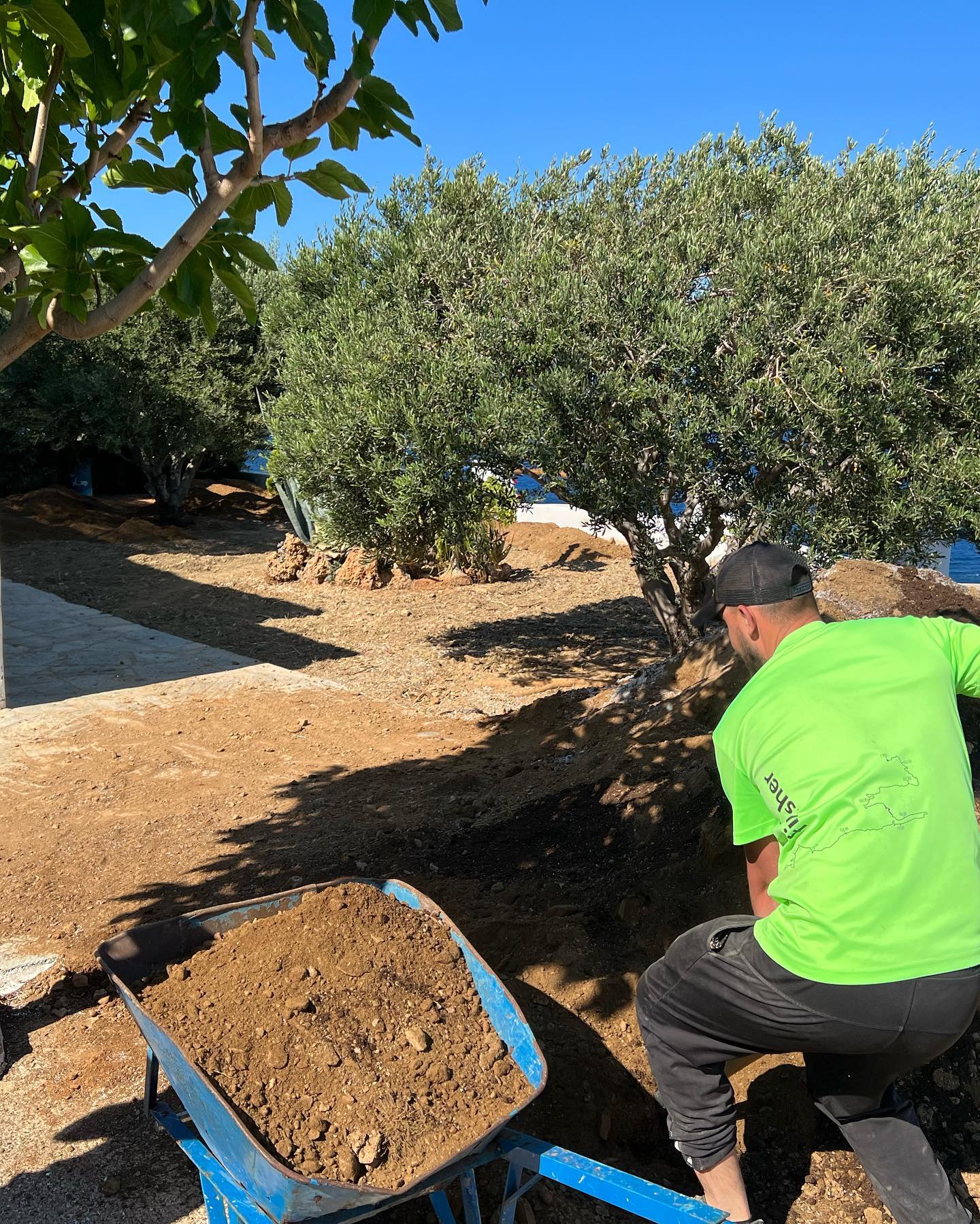 Παραθαλάσσιος Κήπος με Ελιά &amp; Θέα στο Πέλαγος