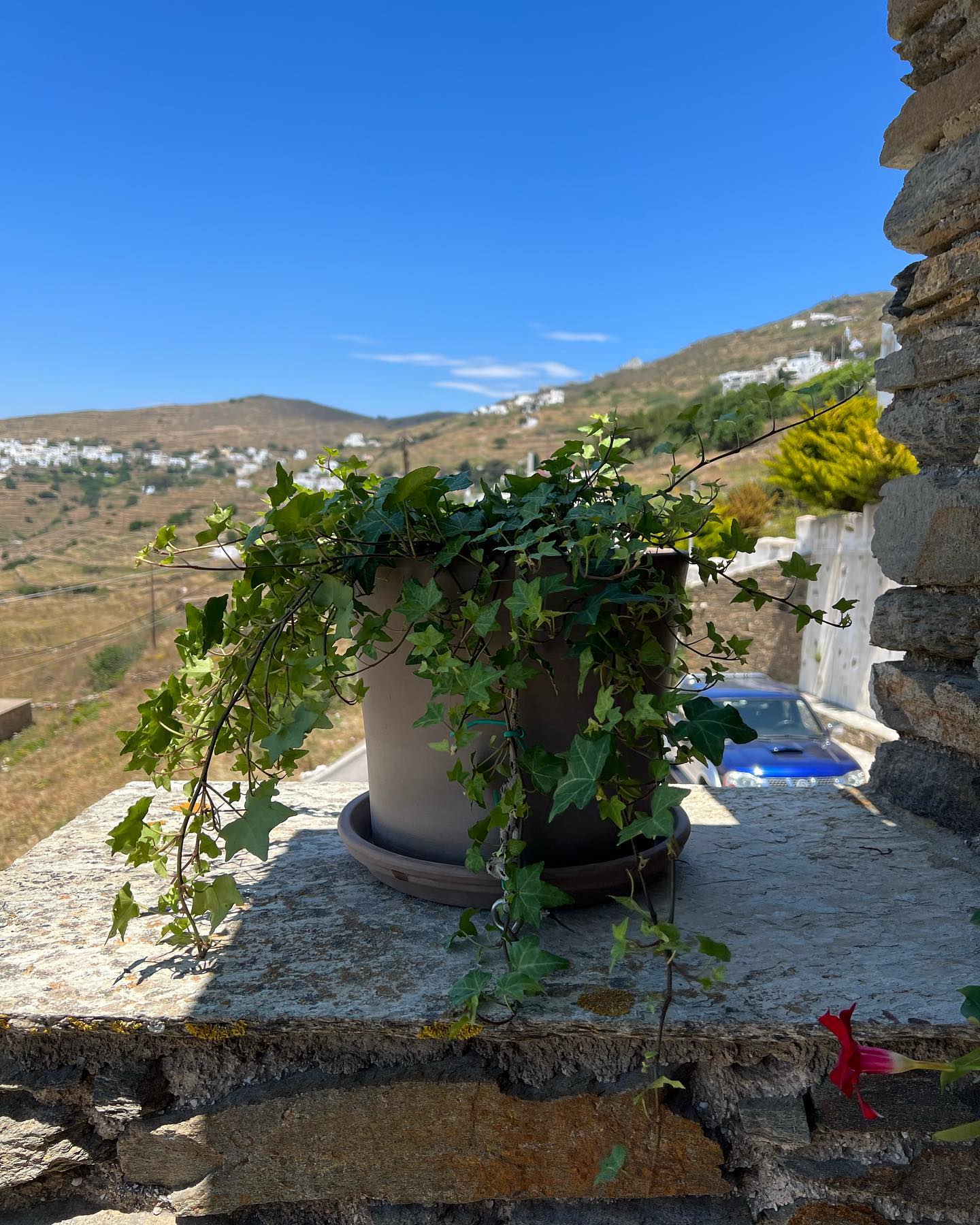 Ξερολιθιές &amp; Βραχόκηπος