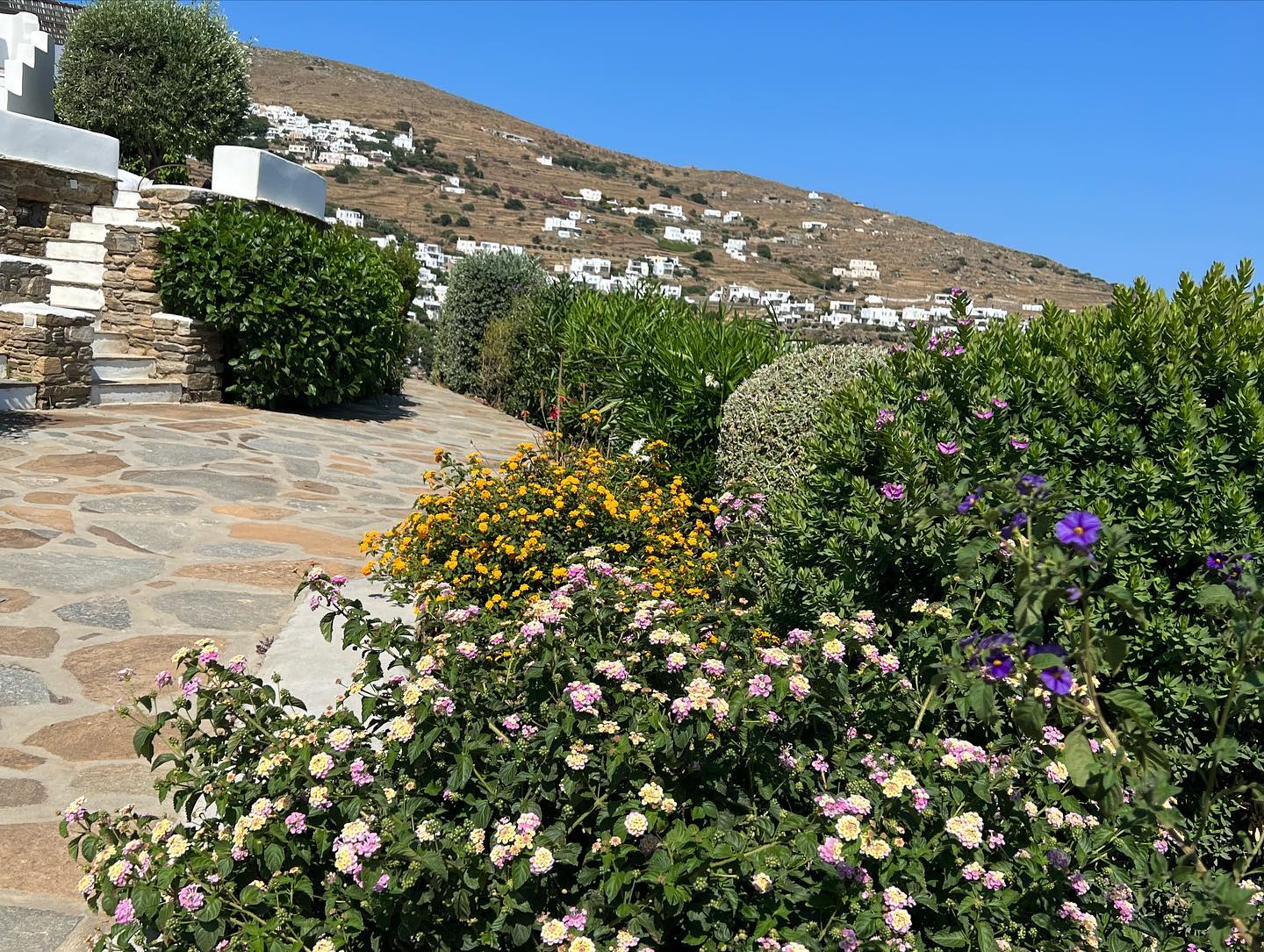 Πέτρινη Κατοικία με Βουκαμβίλια