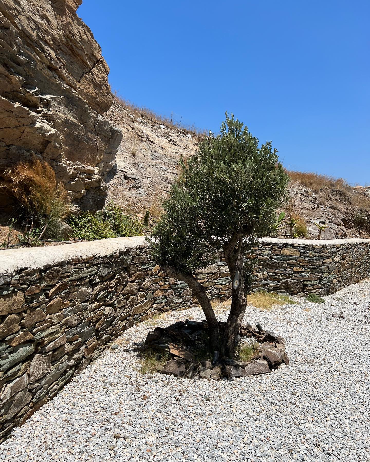 Πέτρινη Κατοικία με Βουκαμβίλια