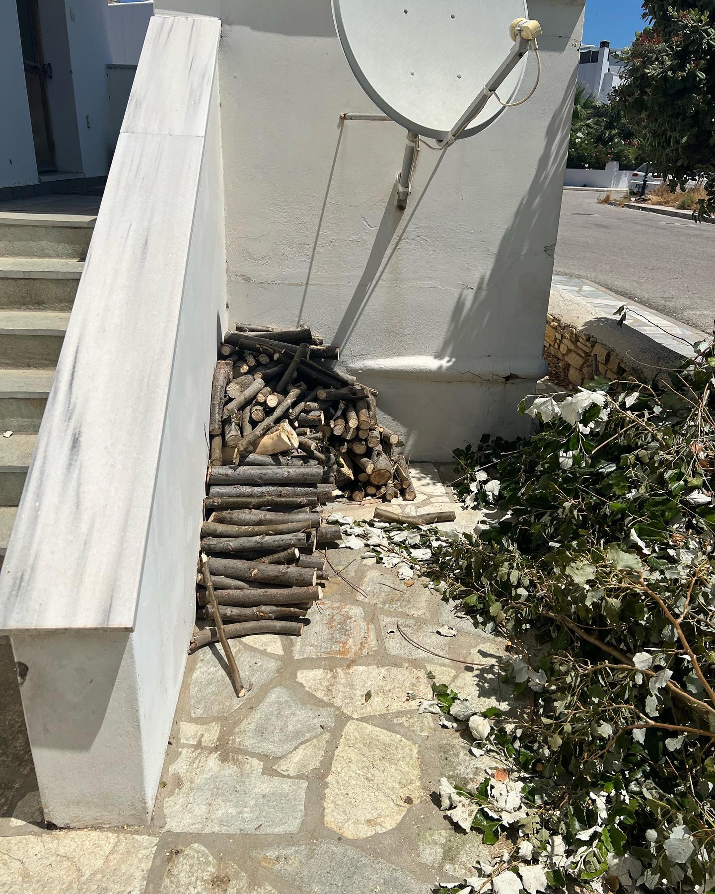 Συντήρηση Καταπράσινου Μεσογειακού Κήπου