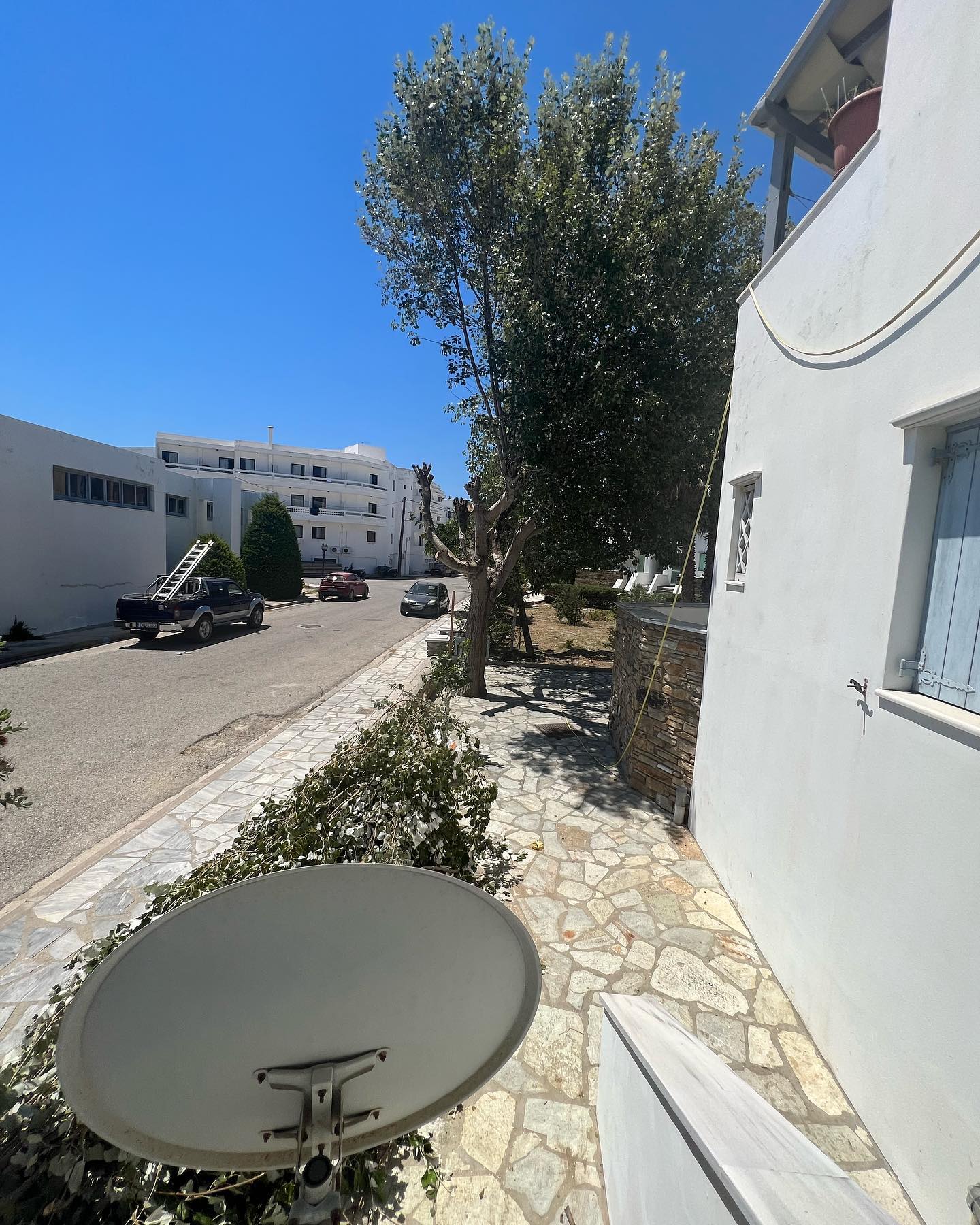 Συντήρηση Καταπράσινου Μεσογειακού Κήπου