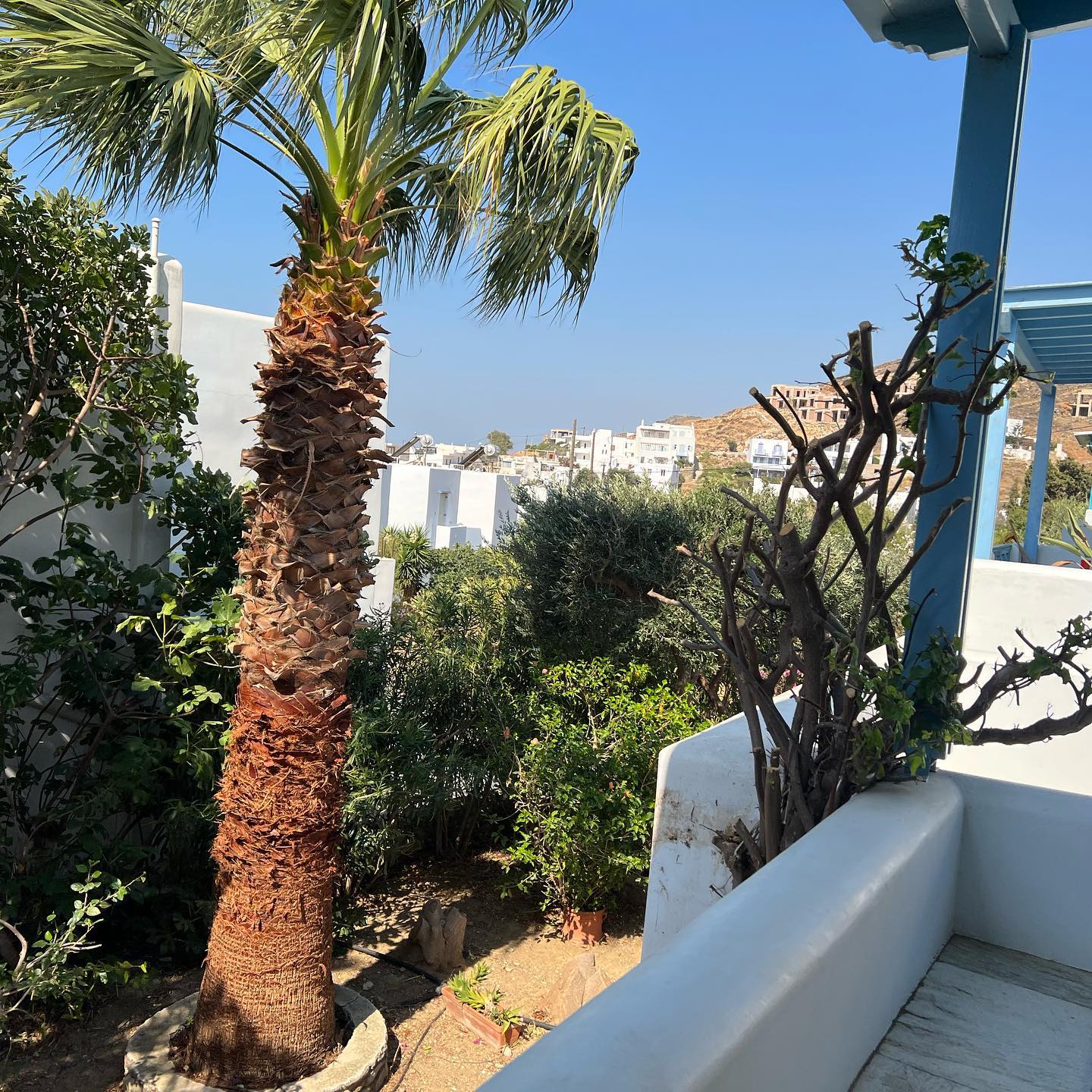 Συντήρηση Καταπράσινου Μεσογειακού Κήπου