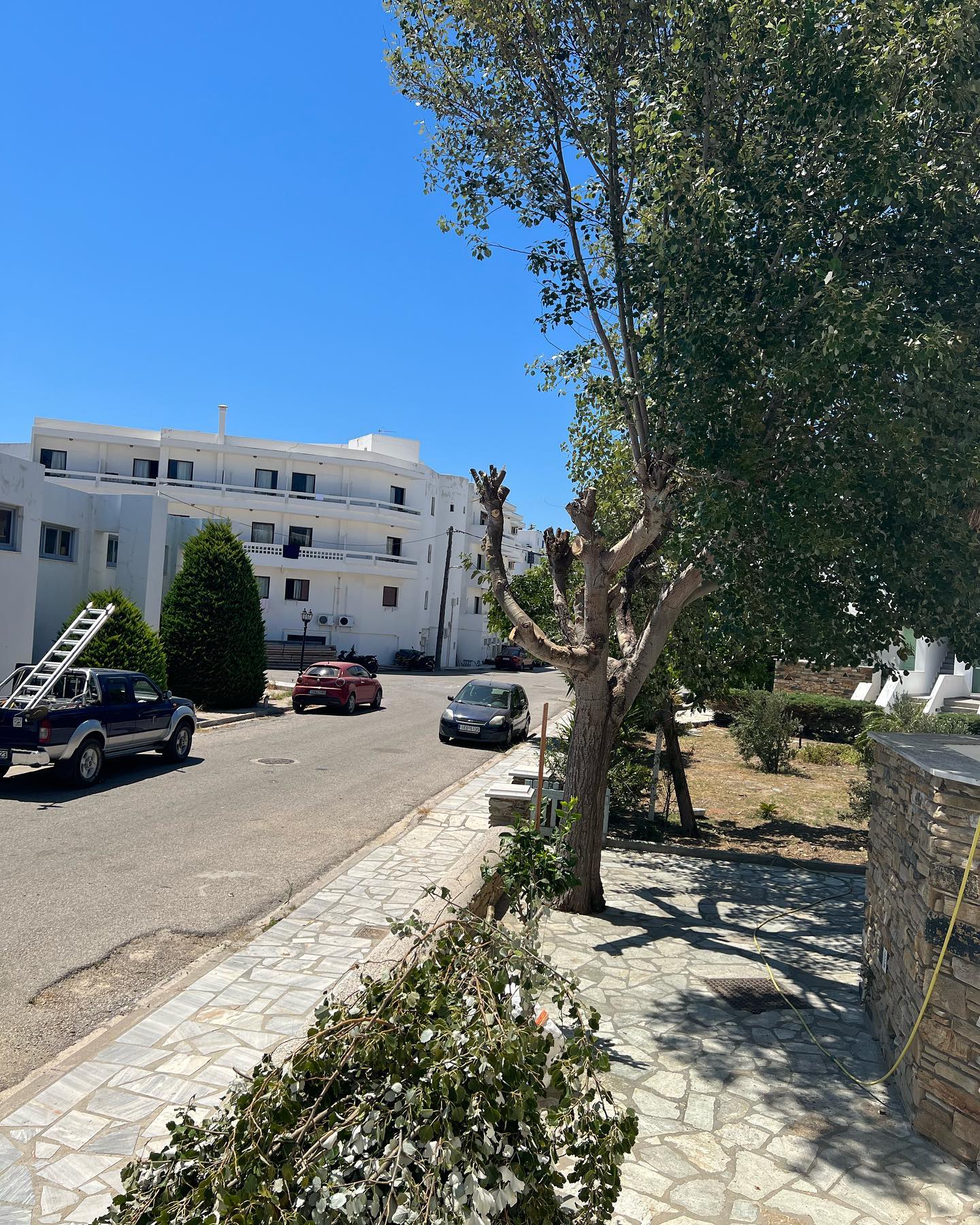 Συντήρηση Καταπράσινου Μεσογειακού Κήπου