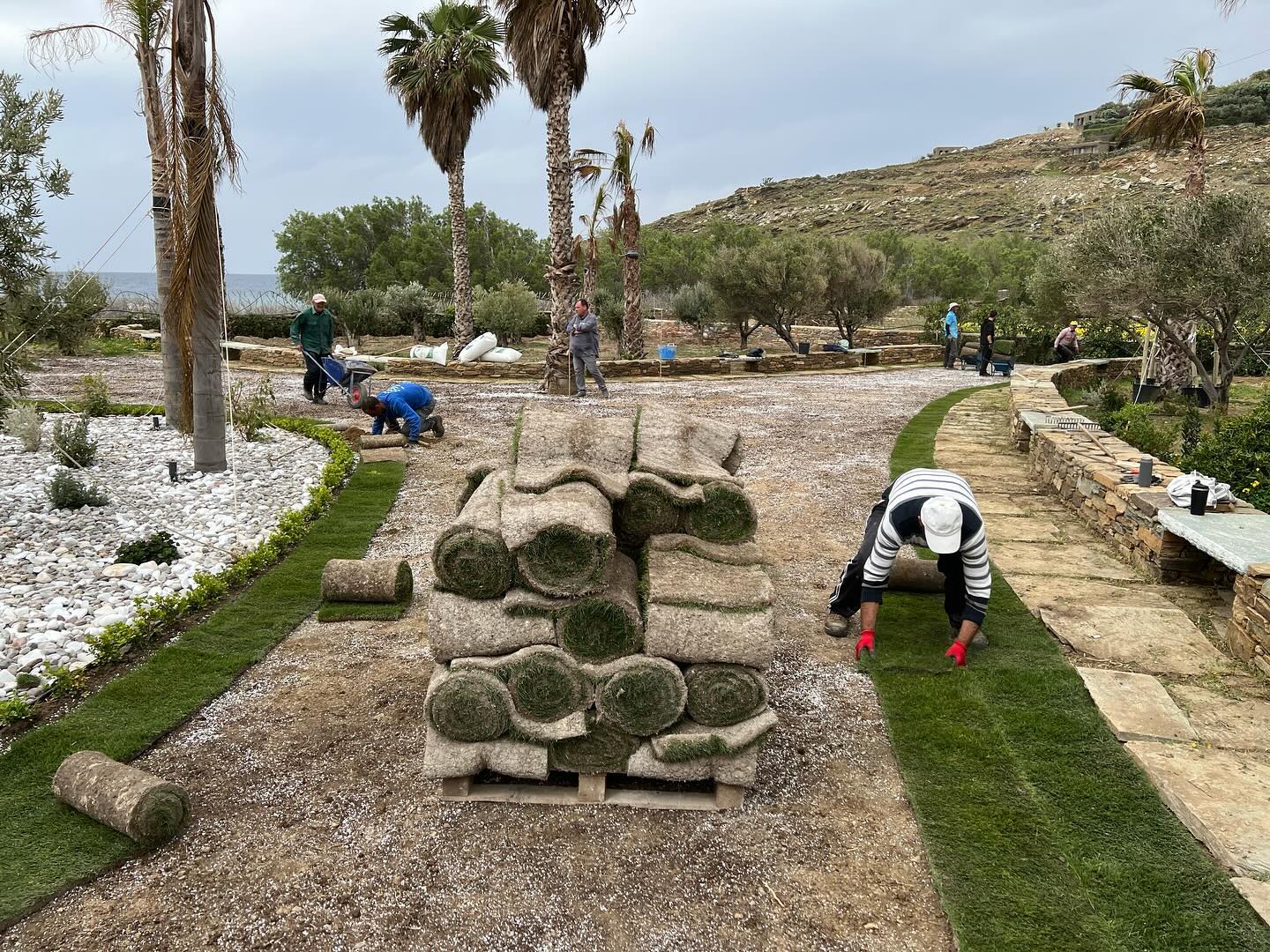 Εγκατάσταση Χλοοτάπητα σε Παραθαλάσσιο Κτήμα