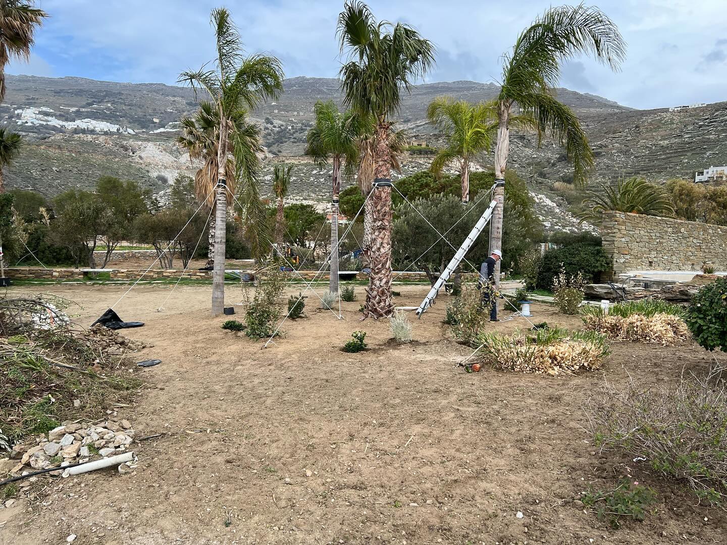 Εγκατάσταση Χλοοτάπητα σε Παραθαλάσσιο Κτήμα