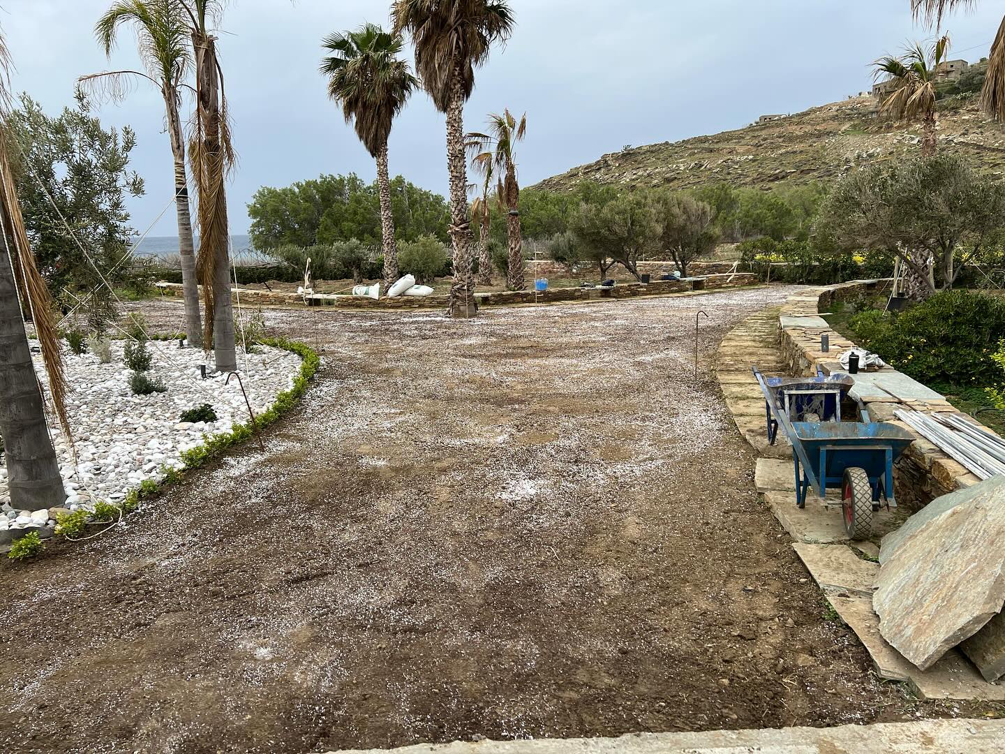 Εγκατάσταση Χλοοτάπητα σε Παραθαλάσσιο Κτήμα