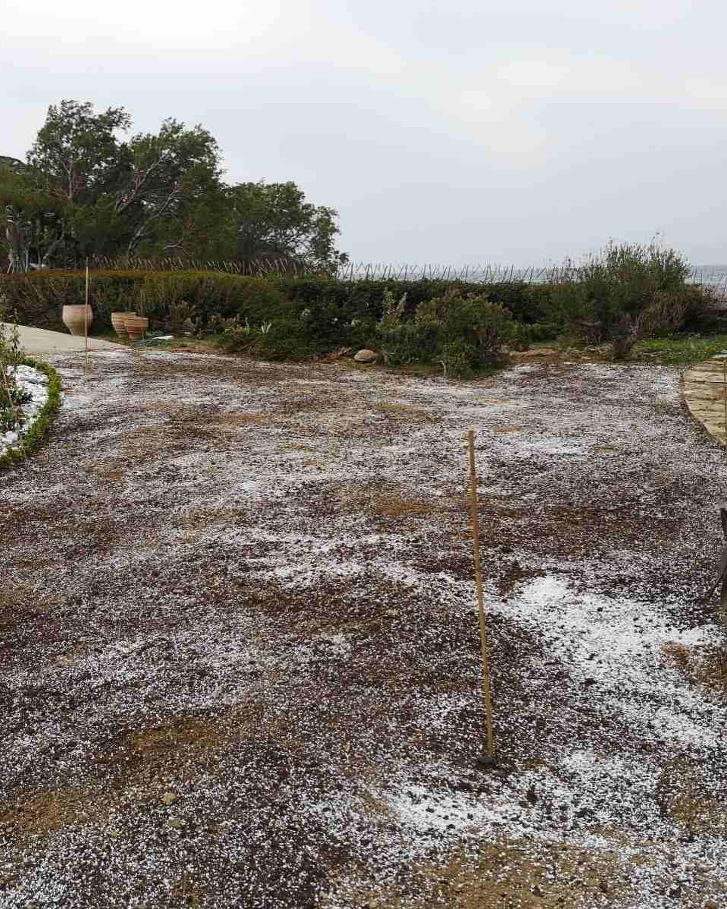 Εγκατάσταση Χλοοτάπητα σε Παραθαλάσσιο Κτήμα