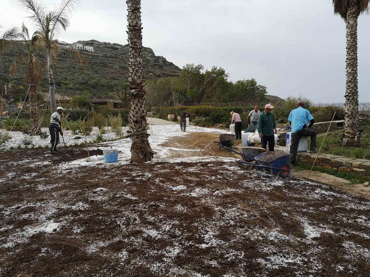 Εγκατάσταση Χλοοτάπητα σε Παραθαλάσσιο Κτήμα