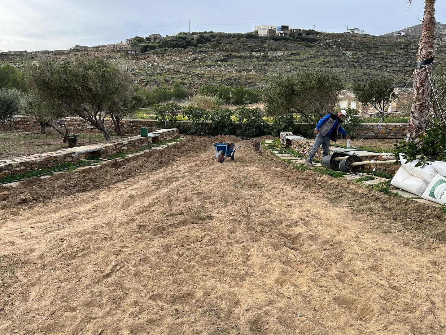 Εγκατάσταση Χλοοτάπητα σε Παραθαλάσσιο Κτήμα