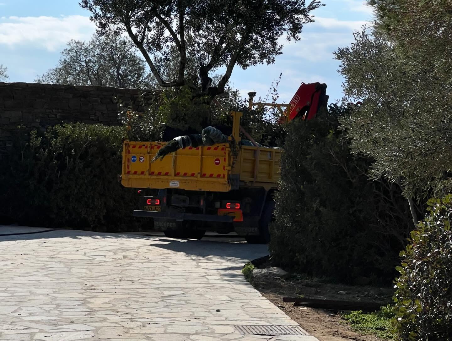 Εγκατάσταση Χλοοτάπητα σε Παραθαλάσσιο Κτήμα