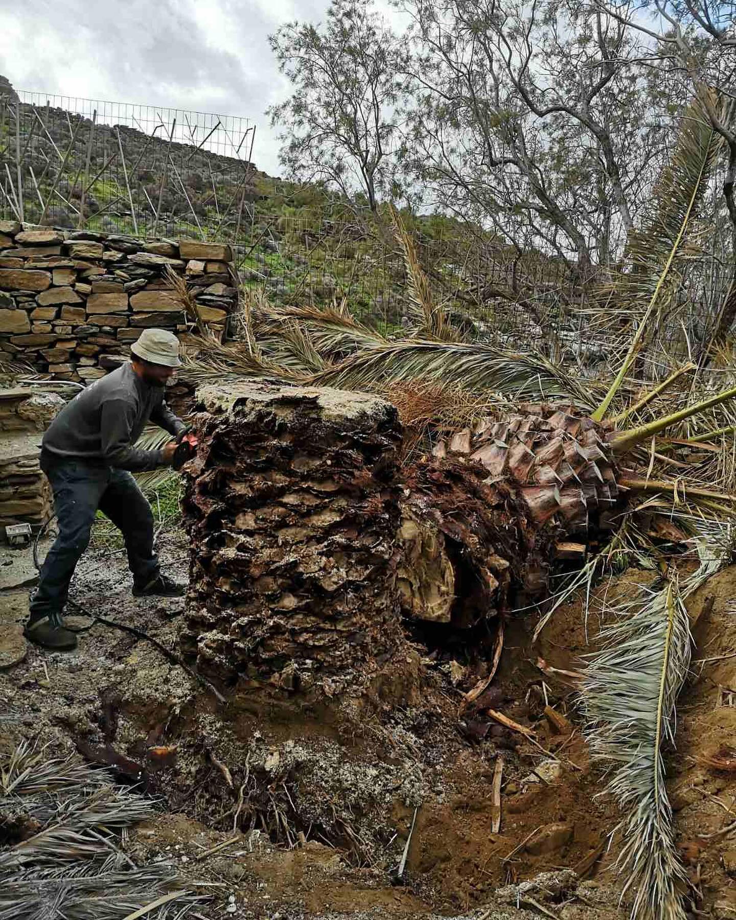 Εγκατάσταση Χλοοτάπητα σε Παραθαλάσσιο Κτήμα