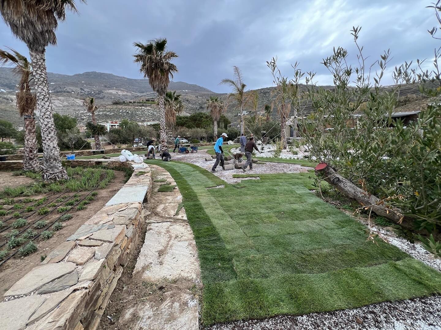 Εγκατάσταση Χλοοτάπητα σε Παραθαλάσσιο Κτήμα