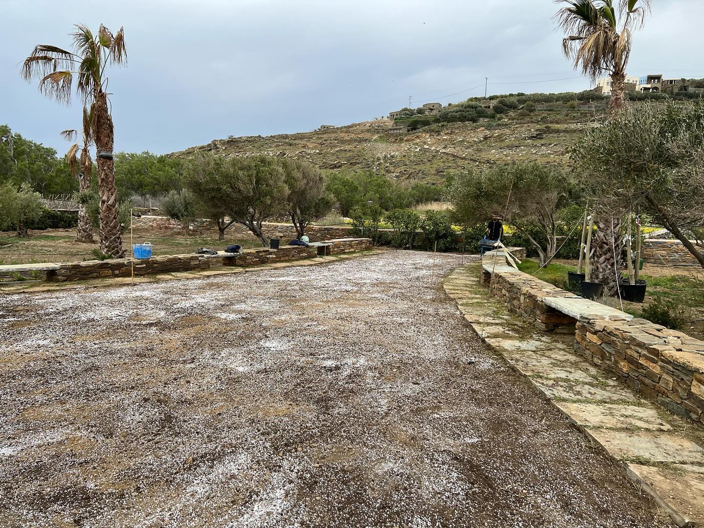Εγκατάσταση Χλοοτάπητα σε Παραθαλάσσιο Κτήμα
