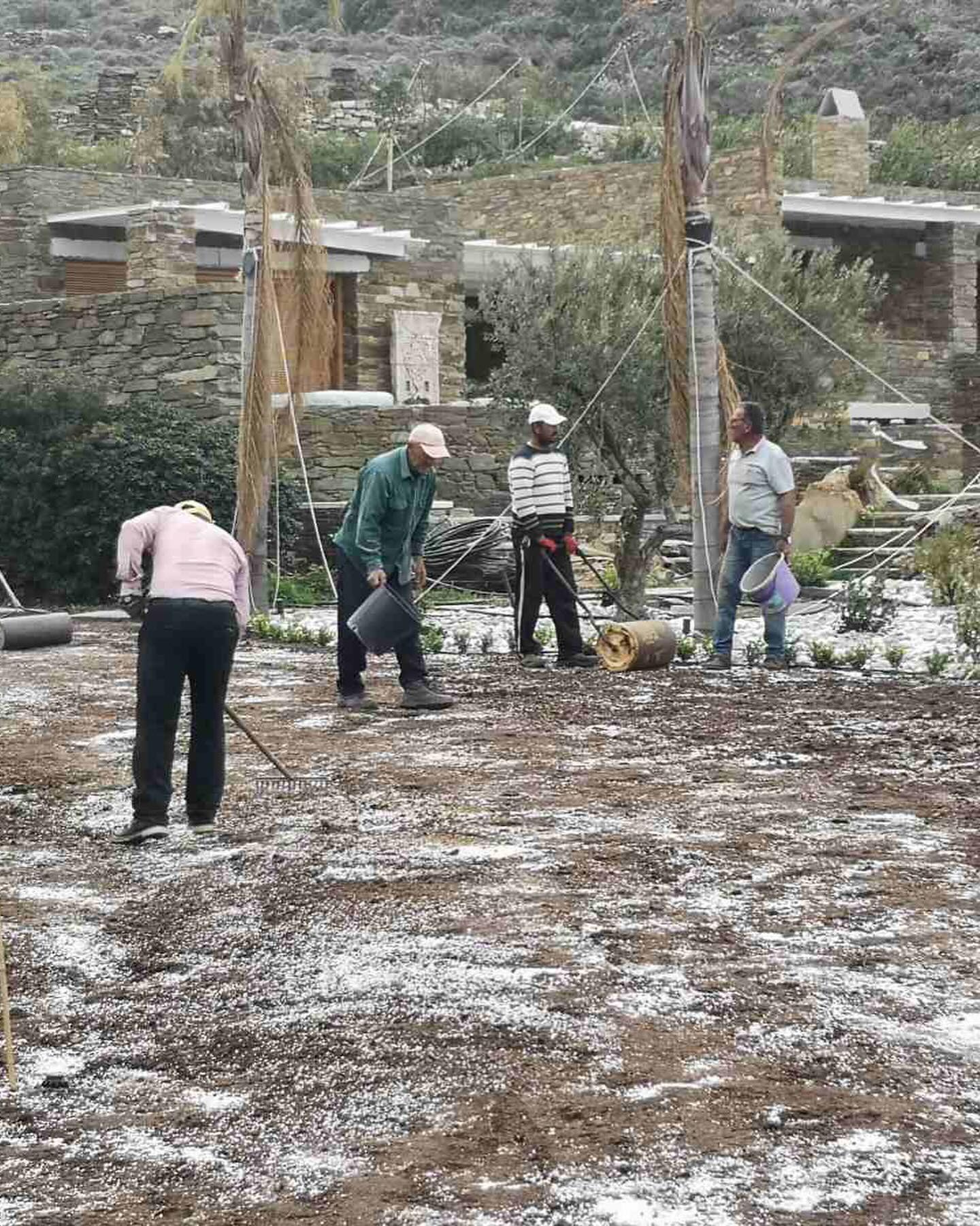 Εγκατάσταση Χλοοτάπητα σε Παραθαλάσσιο Κτήμα