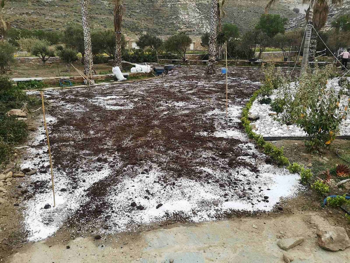 Εγκατάσταση Χλοοτάπητα σε Παραθαλάσσιο Κτήμα