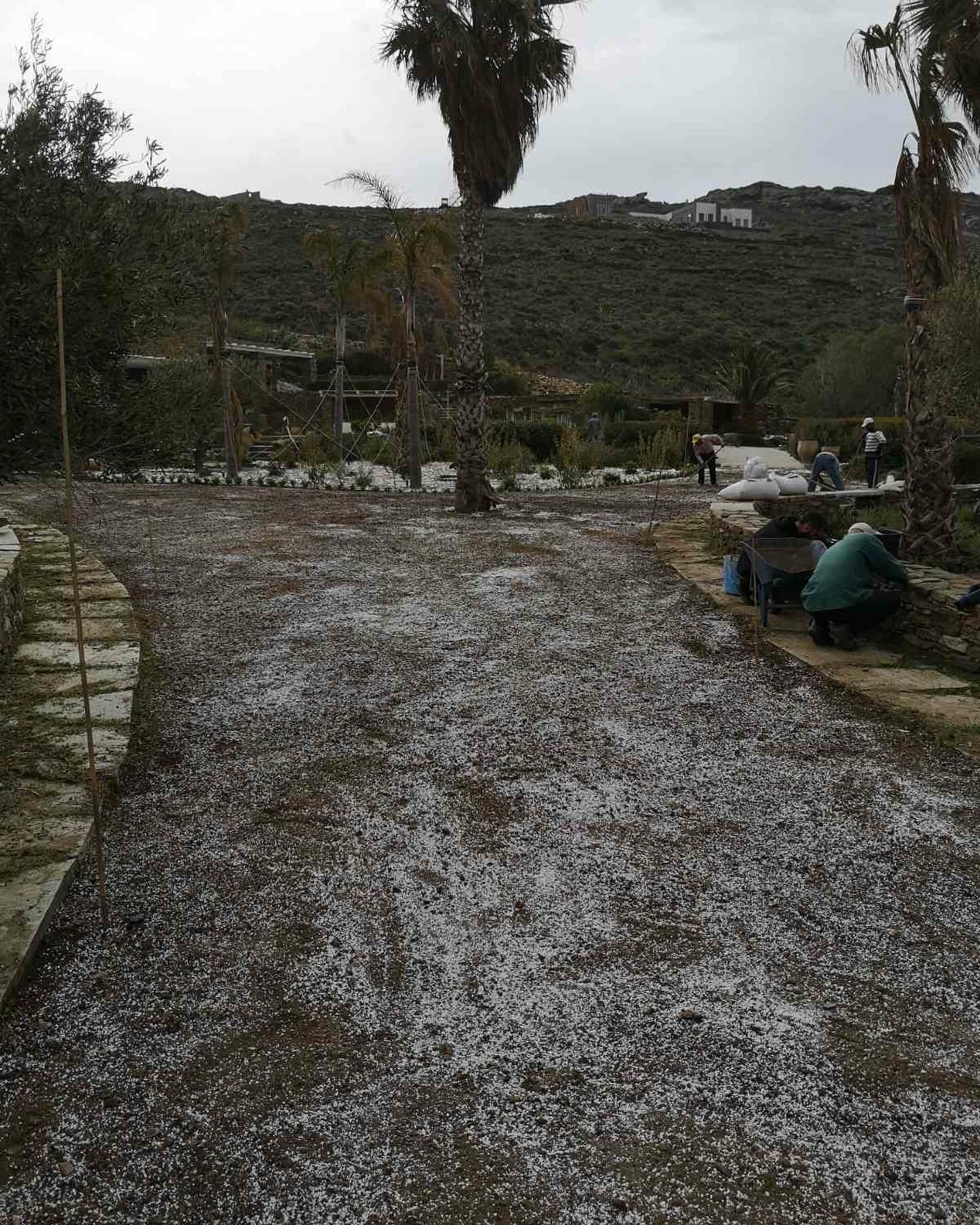 Εγκατάσταση Χλοοτάπητα σε Παραθαλάσσιο Κτήμα