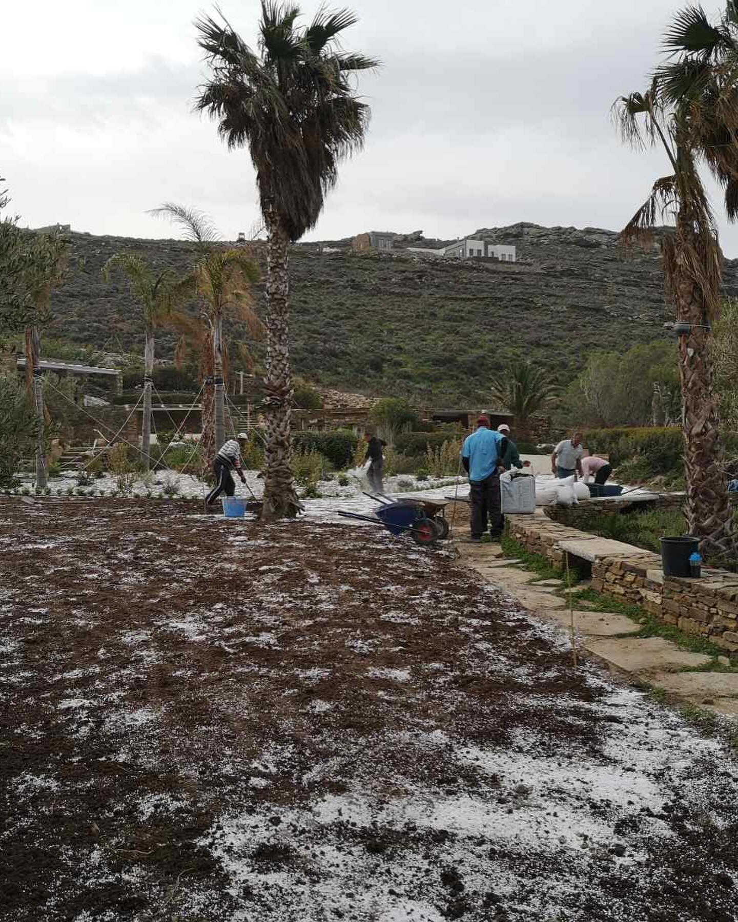 Εγκατάσταση Χλοοτάπητα σε Παραθαλάσσιο Κτήμα