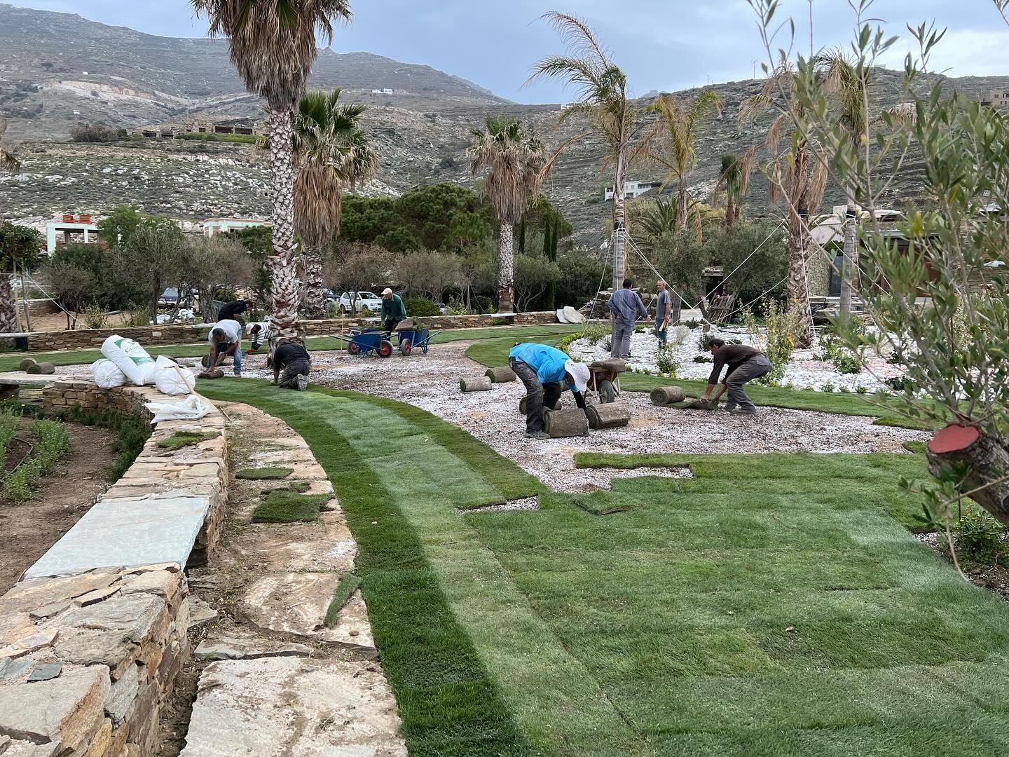 Εγκατάσταση Χλοοτάπητα σε Παραθαλάσσιο Κτήμα