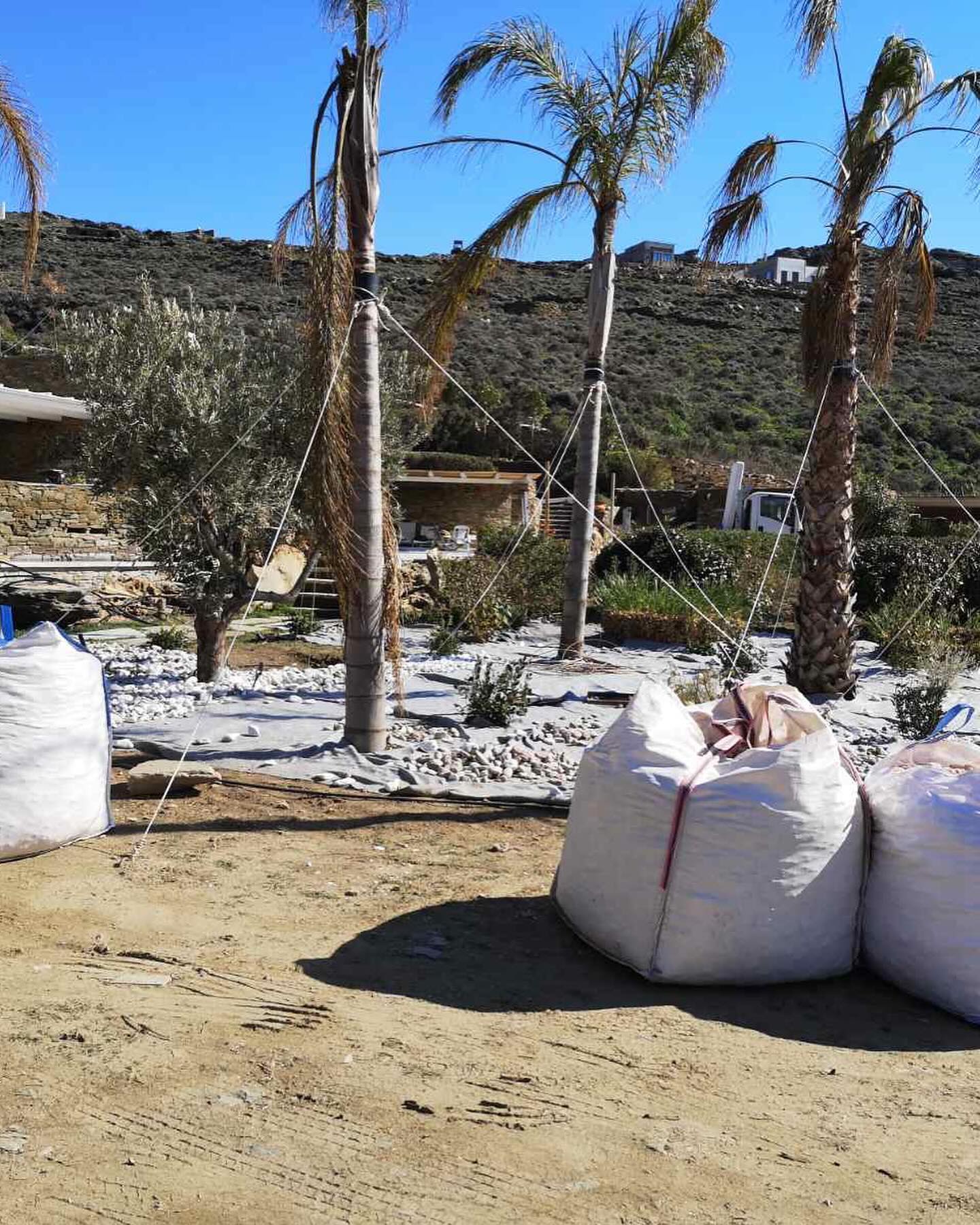 Εγκατάσταση Χλοοτάπητα σε Παραθαλάσσιο Κτήμα
