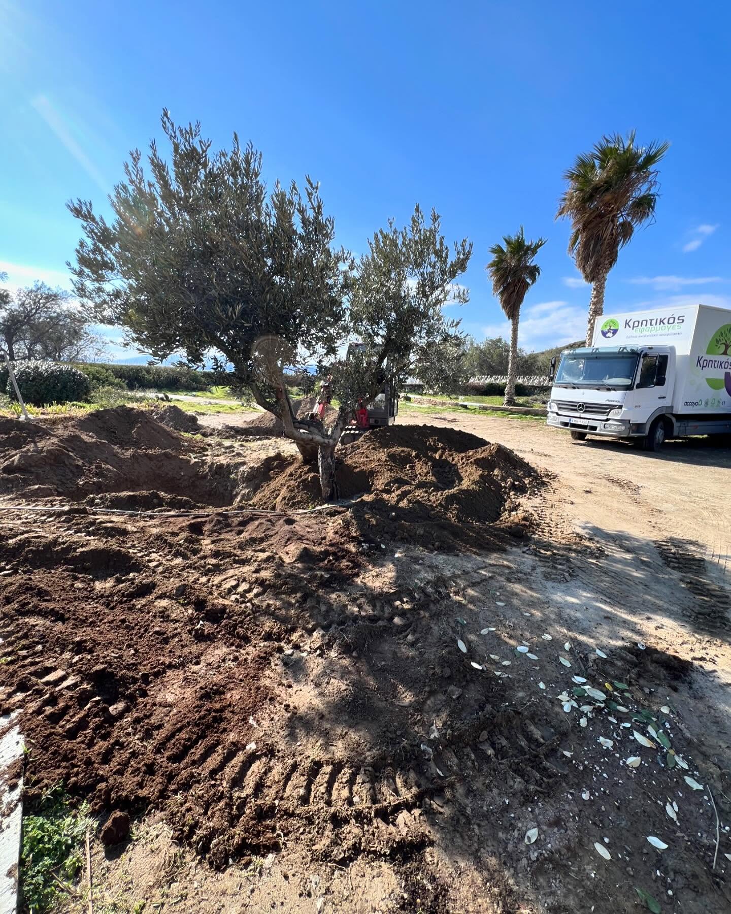 Εγκατάσταση Χλοοτάπητα σε Παραθαλάσσιο Κτήμα