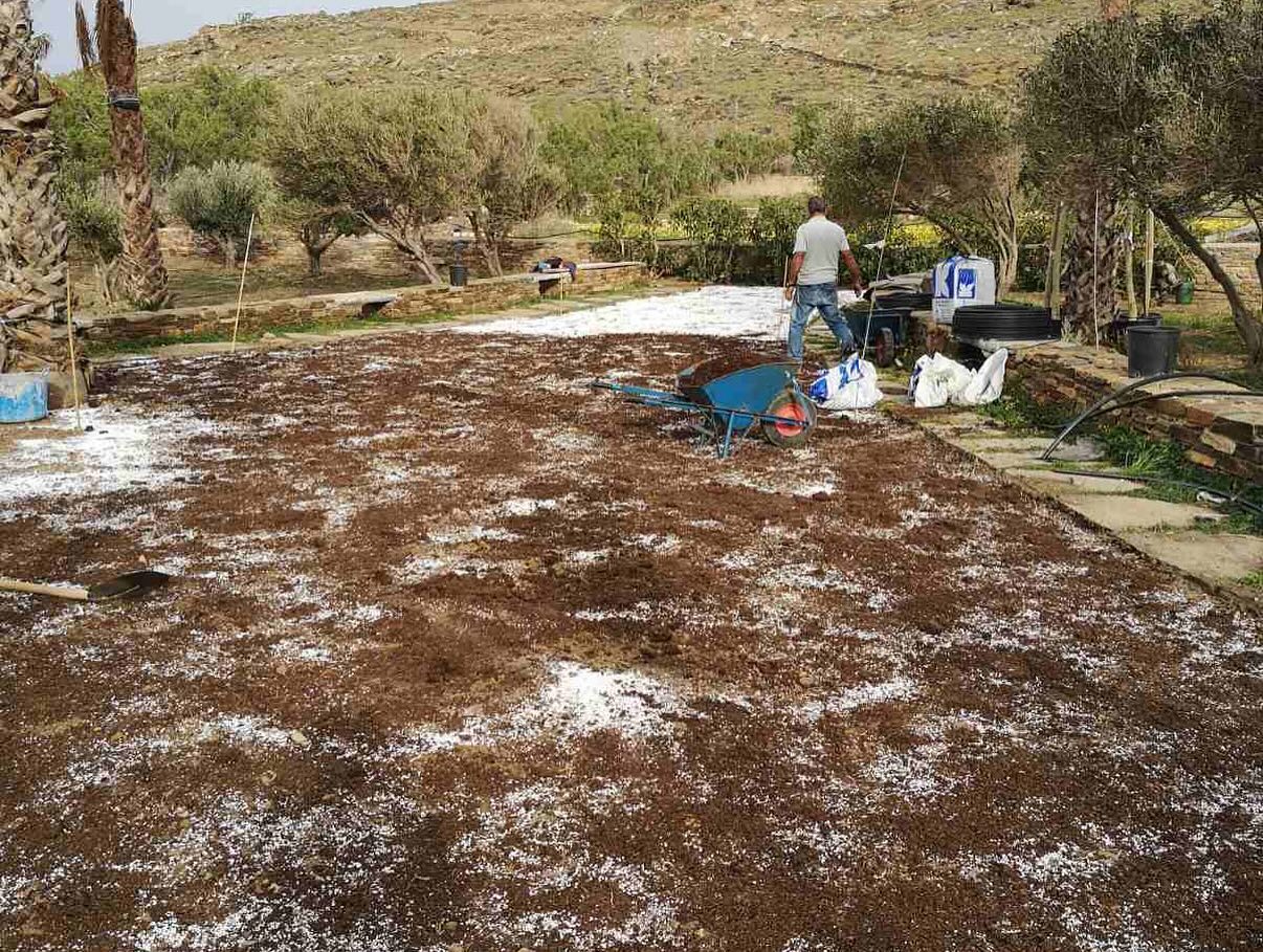 Εγκατάσταση Χλοοτάπητα σε Παραθαλάσσιο Κτήμα