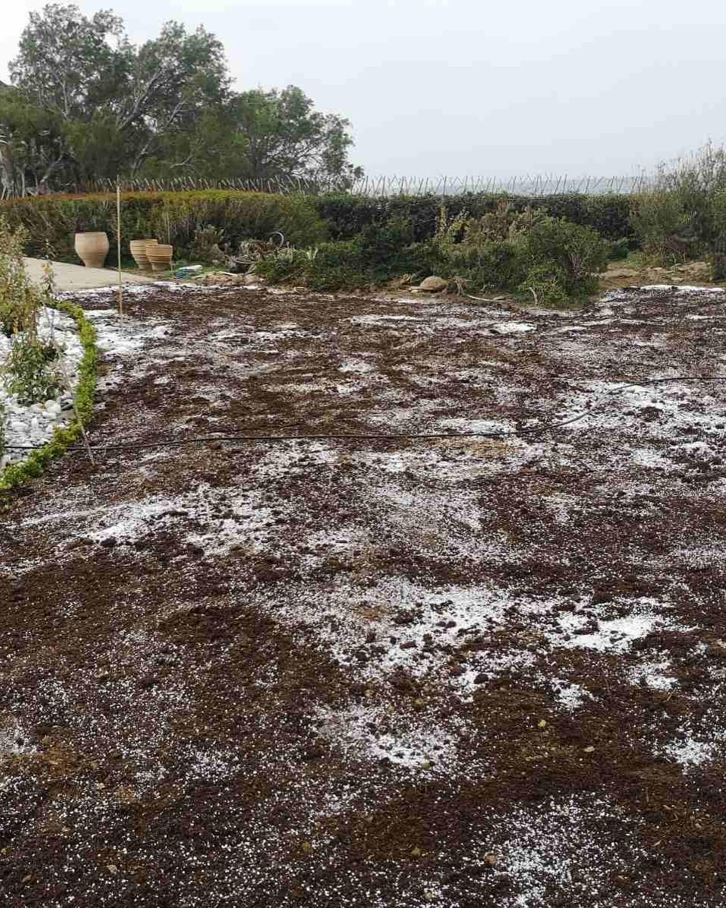 Εγκατάσταση Χλοοτάπητα σε Παραθαλάσσιο Κτήμα