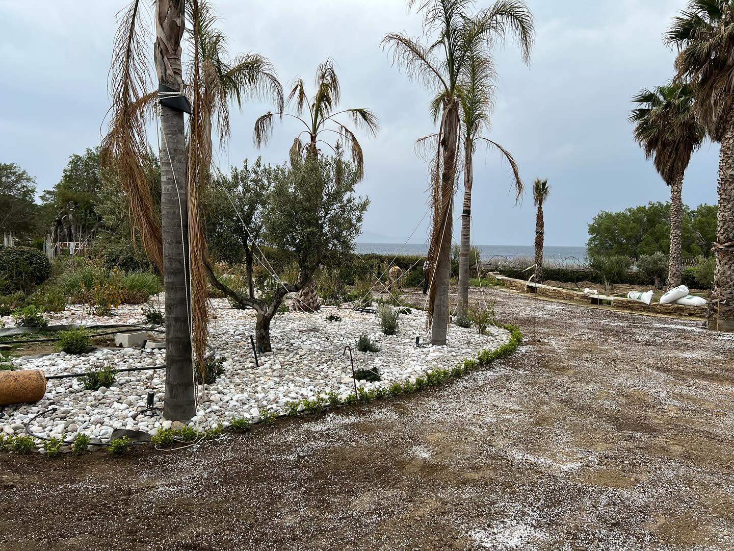 Εγκατάσταση Χλοοτάπητα σε Παραθαλάσσιο Κτήμα