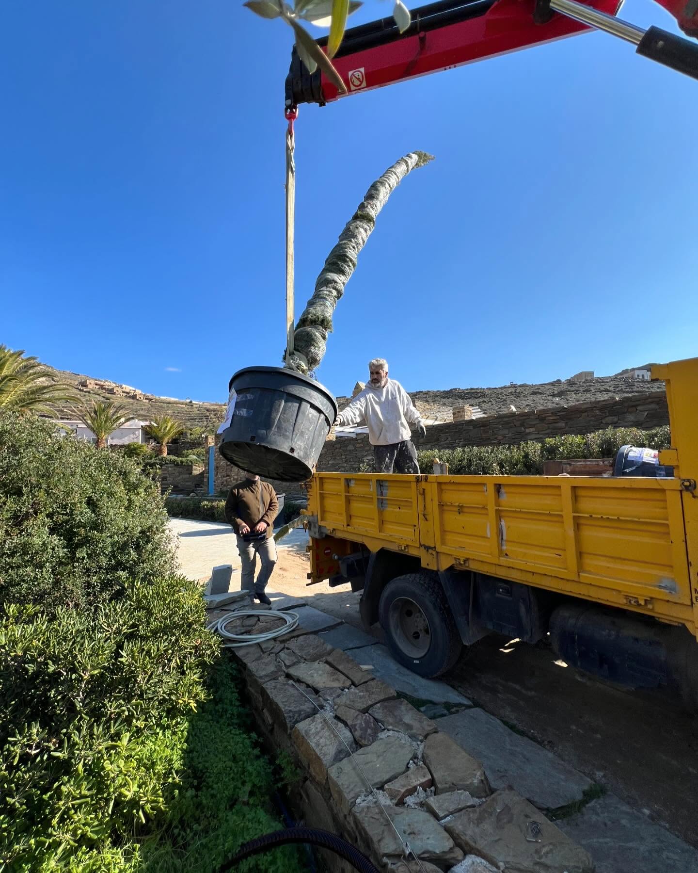 Εγκατάσταση Χλοοτάπητα σε Παραθαλάσσιο Κτήμα