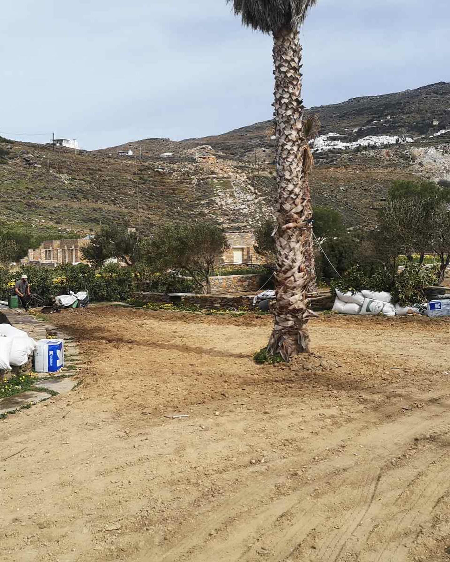Εγκατάσταση Χλοοτάπητα σε Παραθαλάσσιο Κτήμα