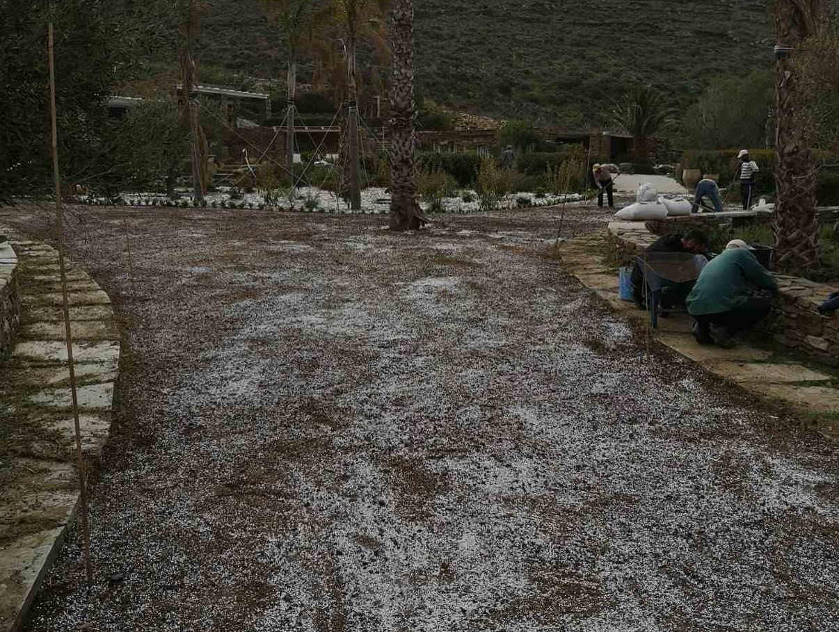 Εγκατάσταση Χλοοτάπητα σε Παραθαλάσσιο Κτήμα