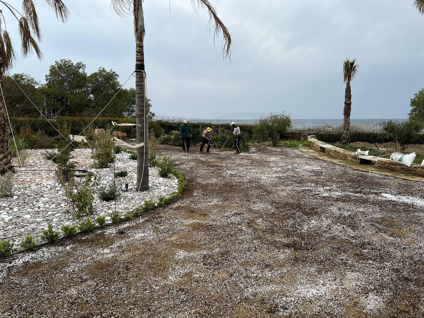 Εγκατάσταση Χλοοτάπητα σε Παραθαλάσσιο Κτήμα