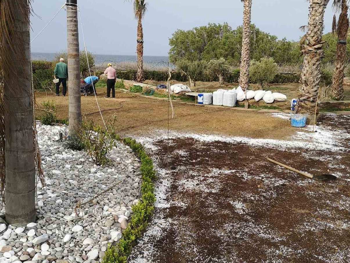 Εγκατάσταση Χλοοτάπητα σε Παραθαλάσσιο Κτήμα