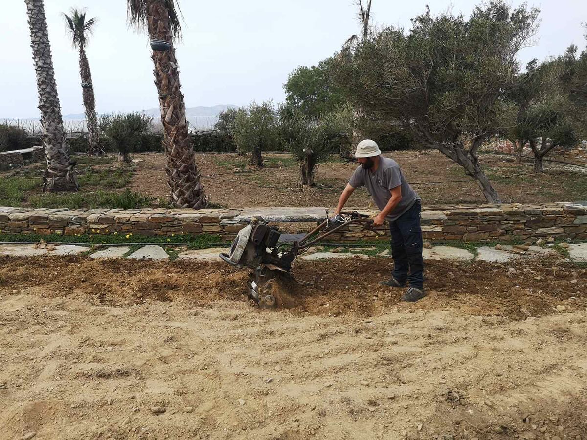 Εγκατάσταση Χλοοτάπητα σε Παραθαλάσσιο Κτήμα