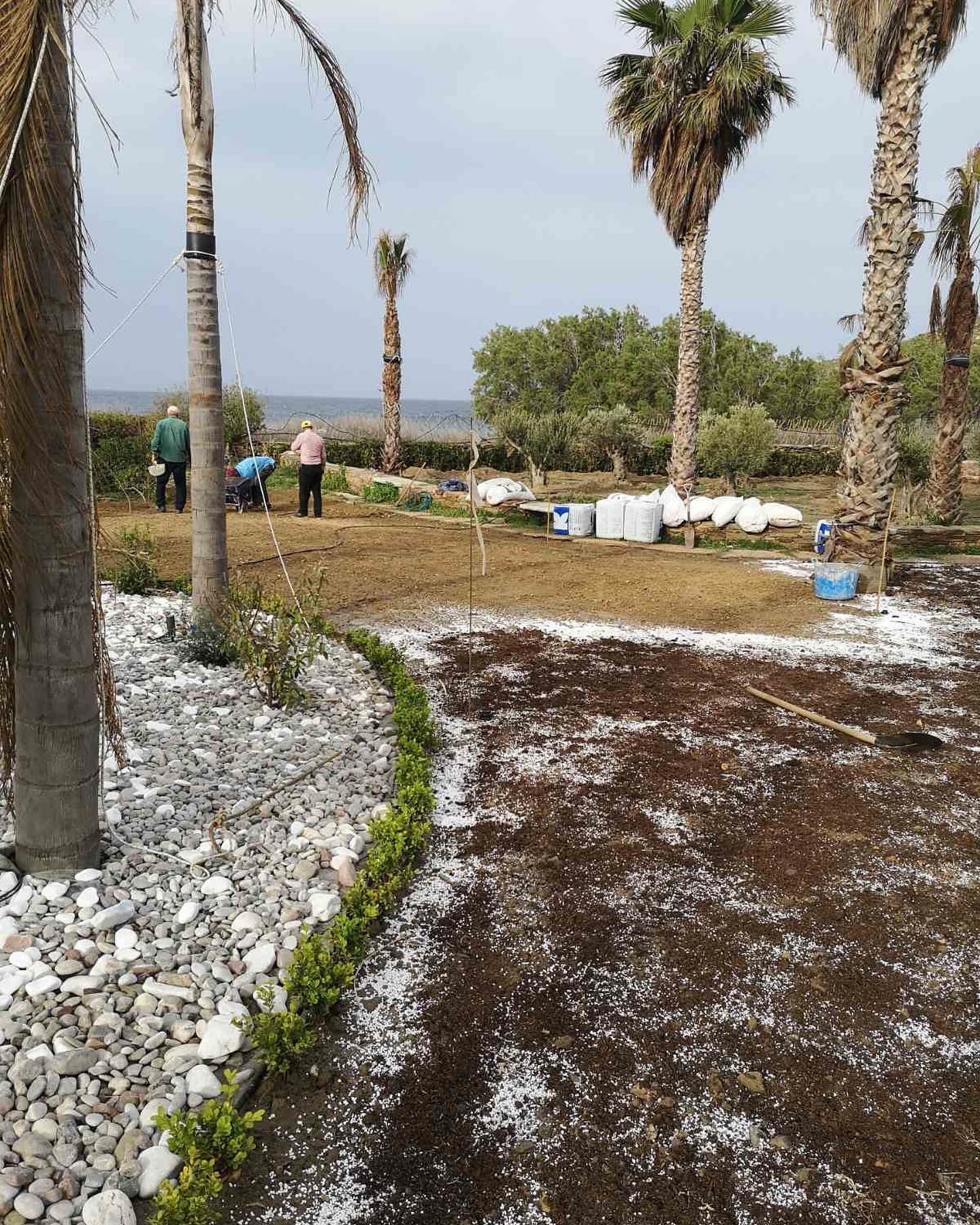Εγκατάσταση Χλοοτάπητα σε Παραθαλάσσιο Κτήμα
