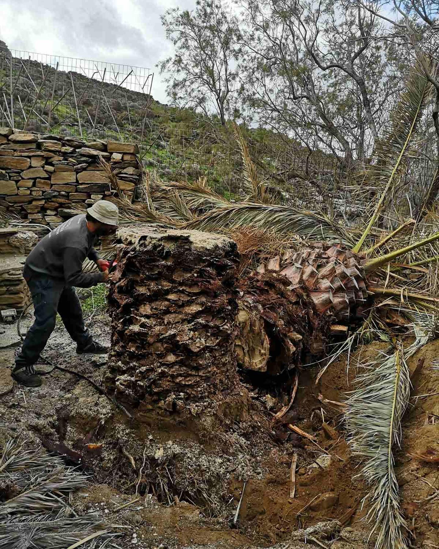 Εγκατάσταση Χλοοτάπητα σε Παραθαλάσσιο Κτήμα