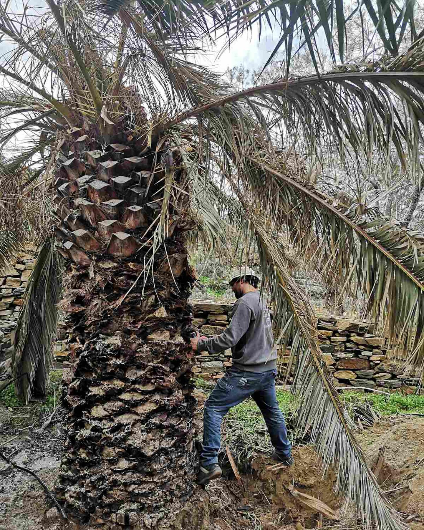Εγκατάσταση Χλοοτάπητα σε Παραθαλάσσιο Κτήμα