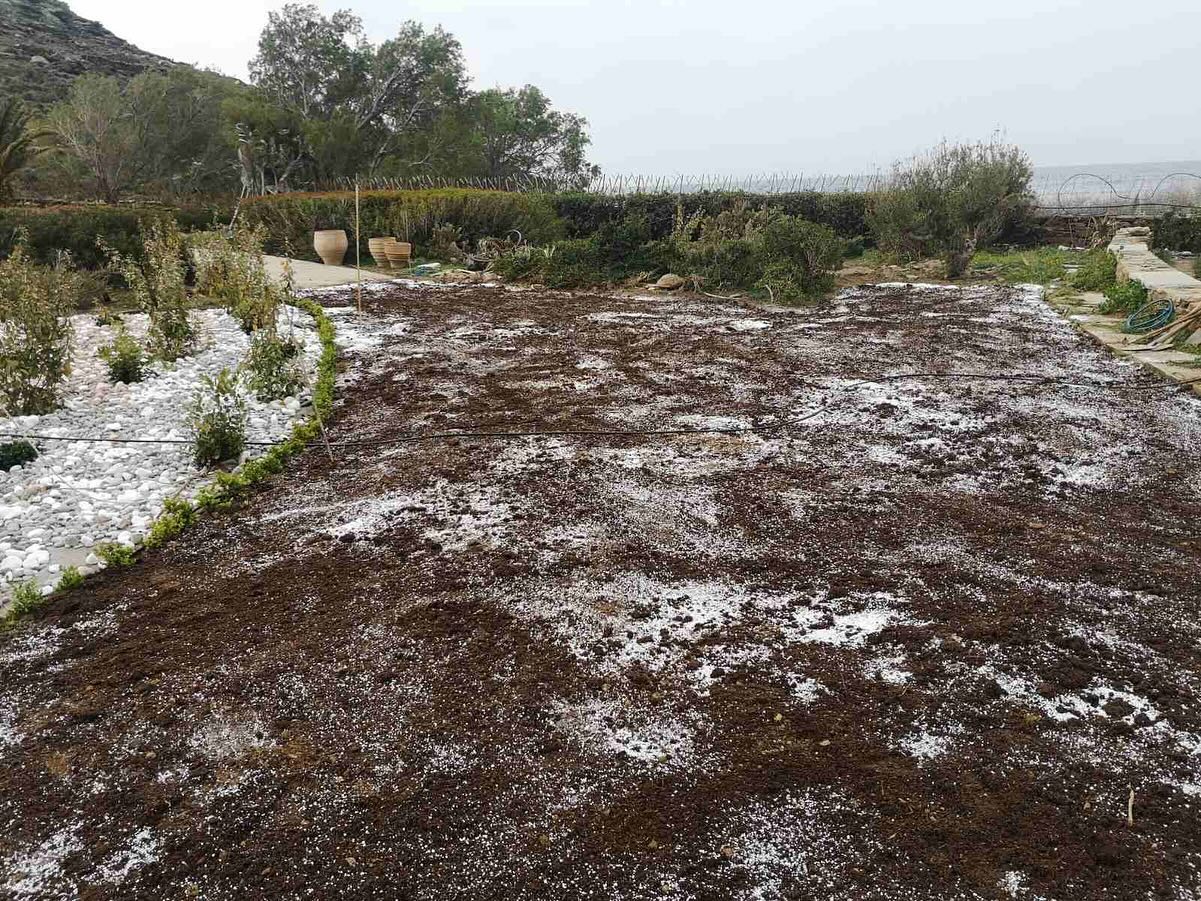 Εγκατάσταση Χλοοτάπητα σε Παραθαλάσσιο Κτήμα