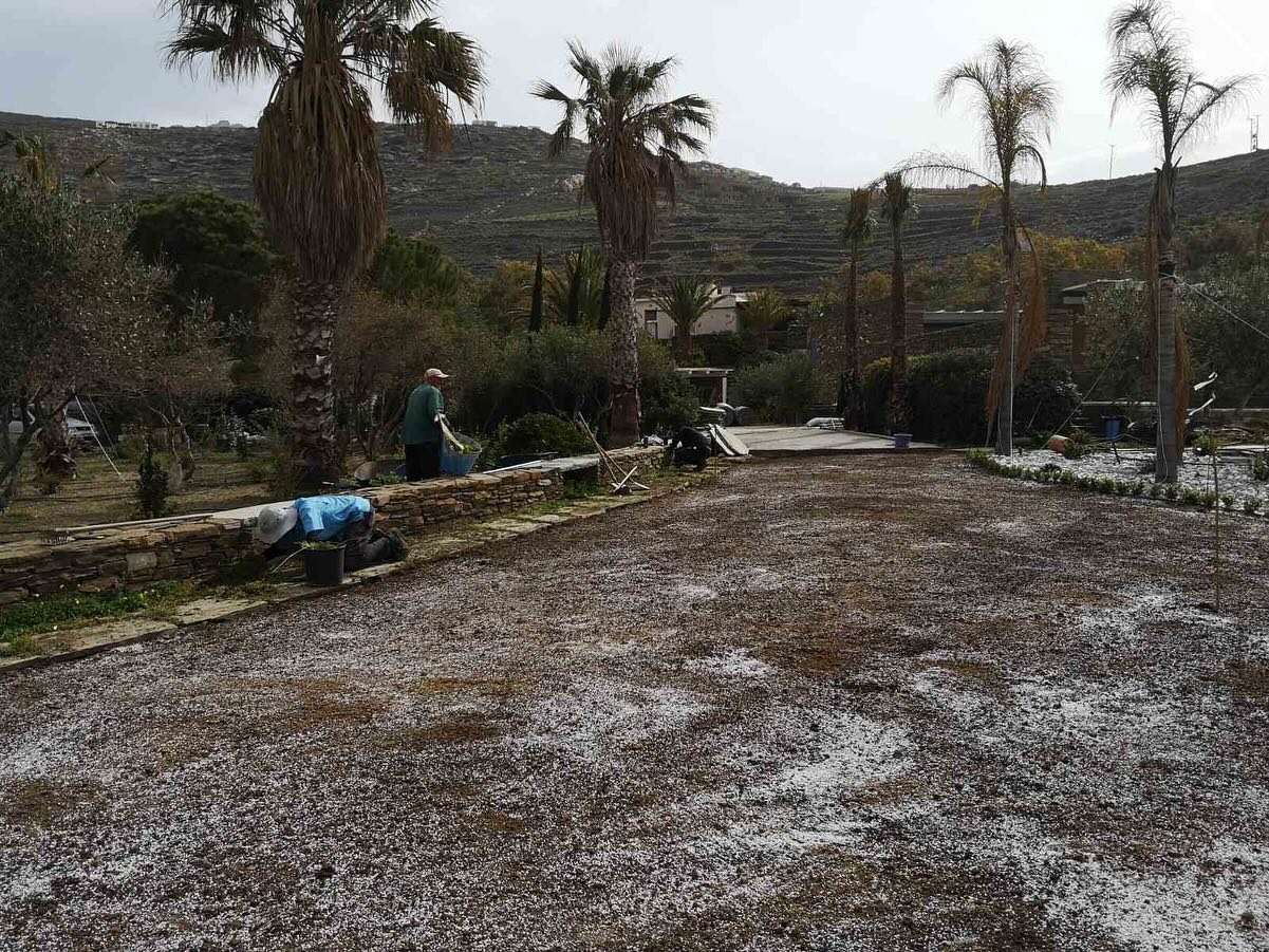 Εγκατάσταση Χλοοτάπητα σε Παραθαλάσσιο Κτήμα