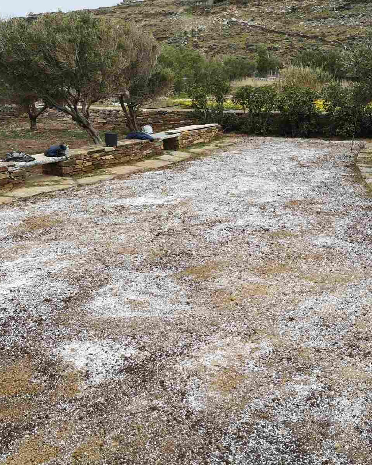 Εγκατάσταση Χλοοτάπητα σε Παραθαλάσσιο Κτήμα