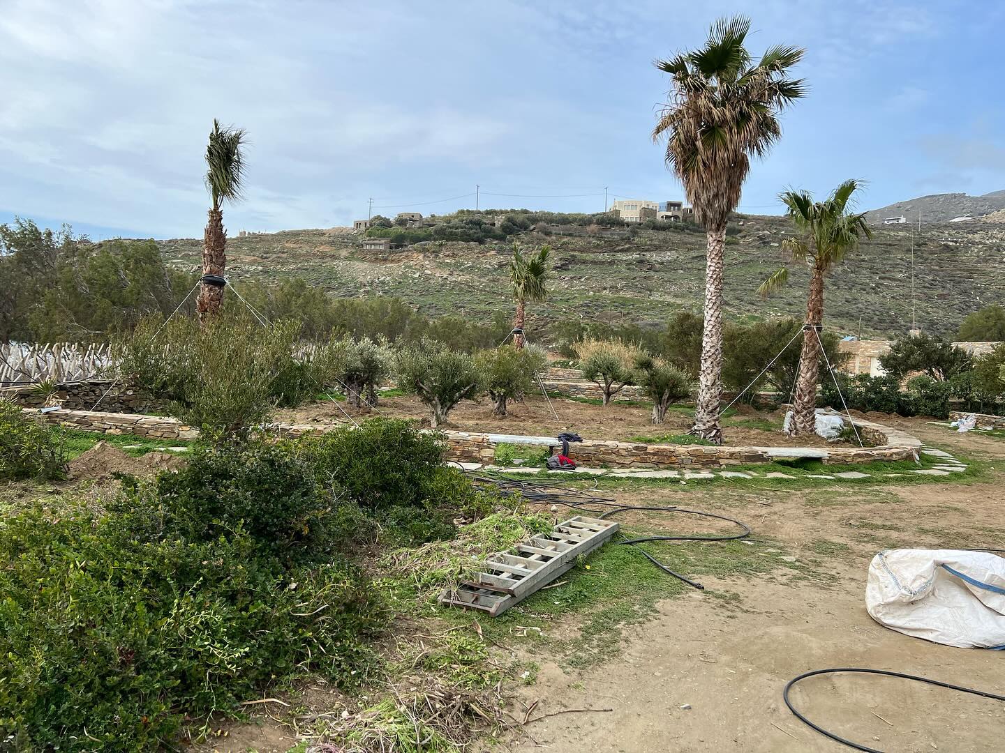 Εγκατάσταση Χλοοτάπητα σε Παραθαλάσσιο Κτήμα