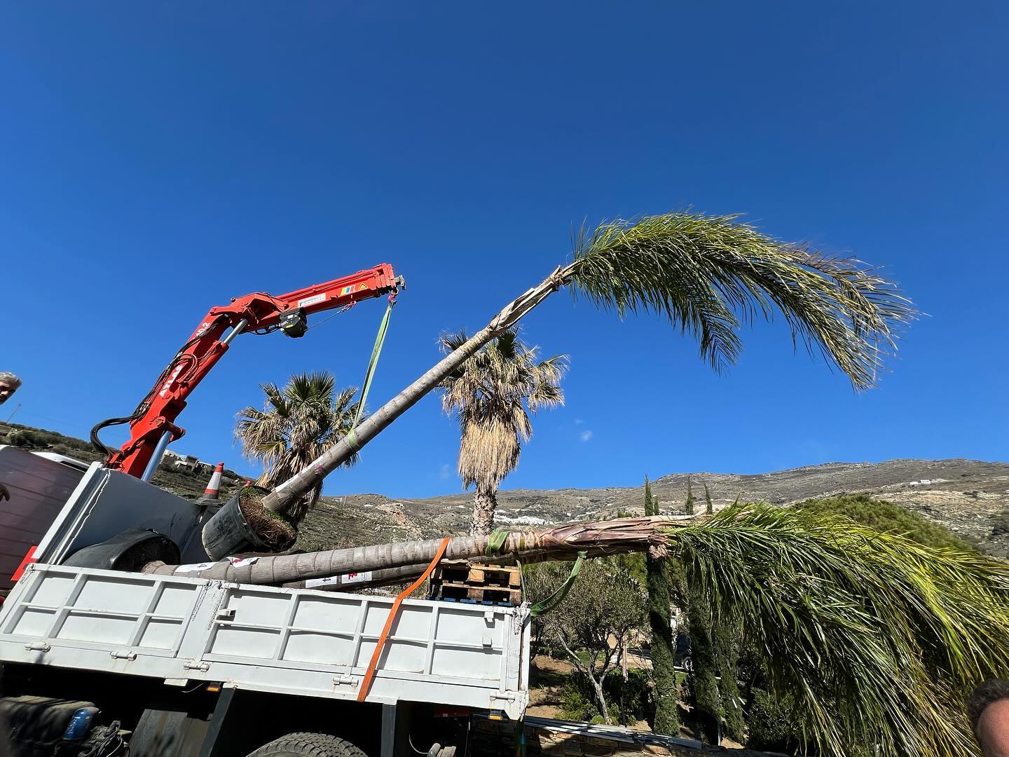 Εγκατάσταση Χλοοτάπητα σε Παραθαλάσσιο Κτήμα